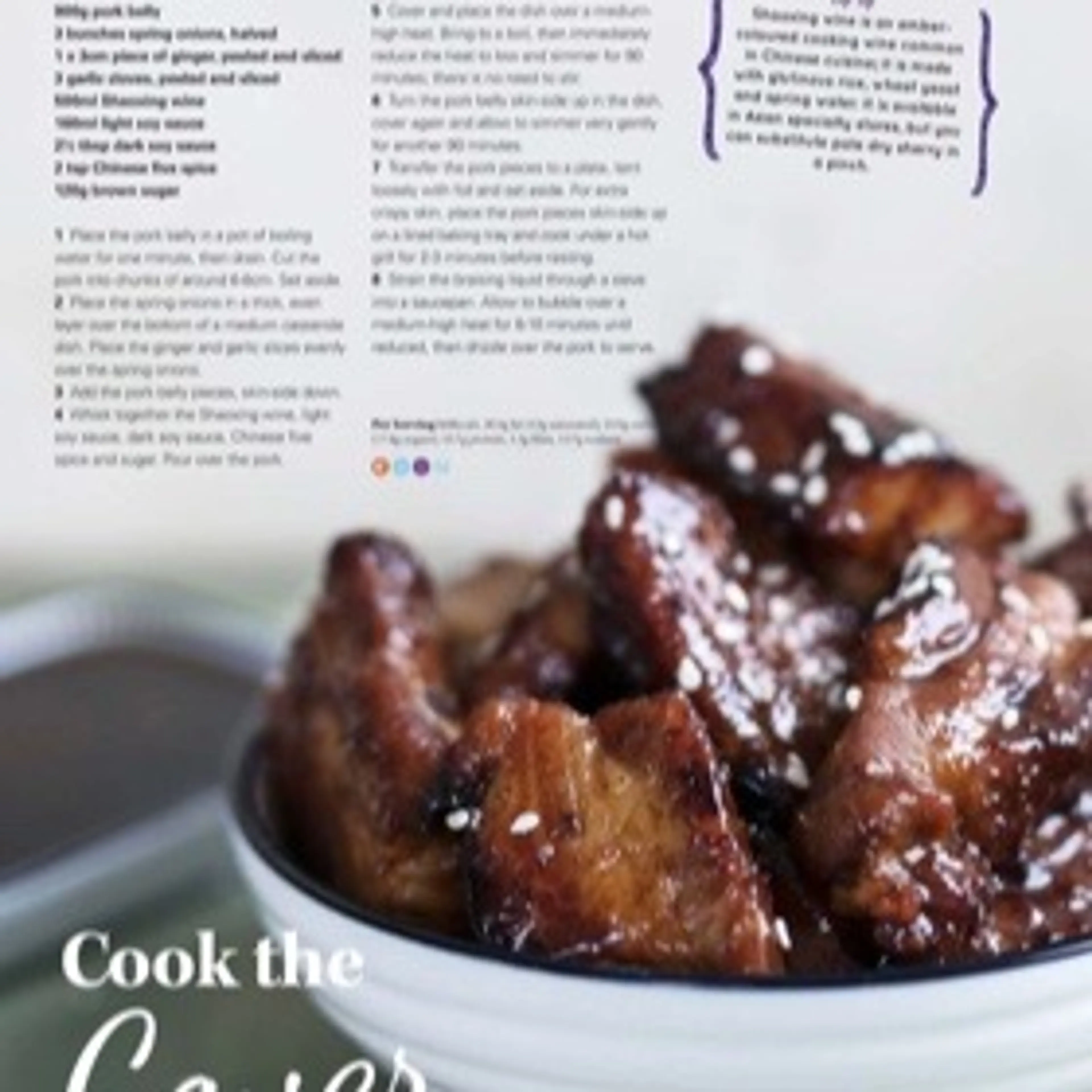 CHINESE BRAISED PORK BELLY