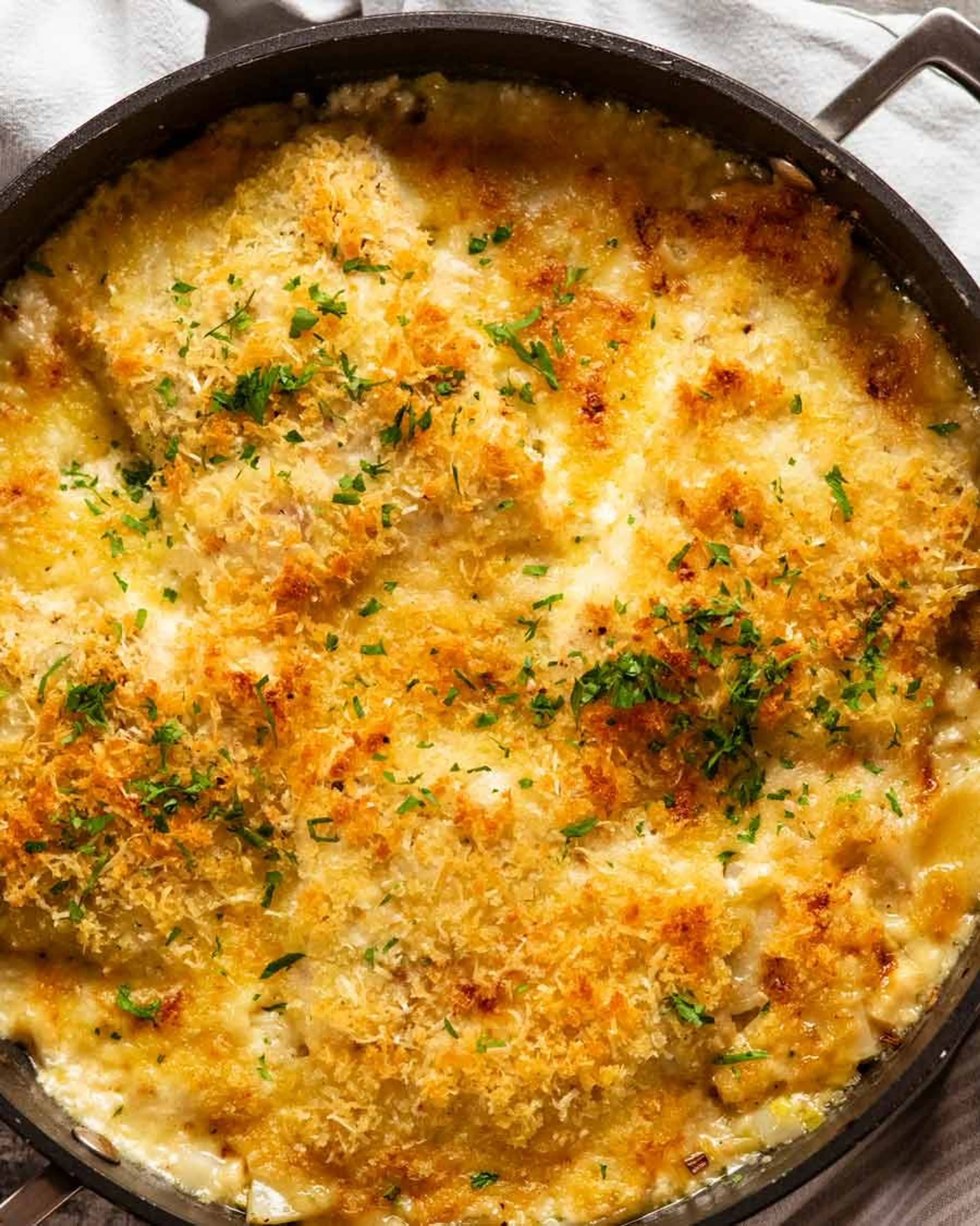 Creamy fish on potato gratin