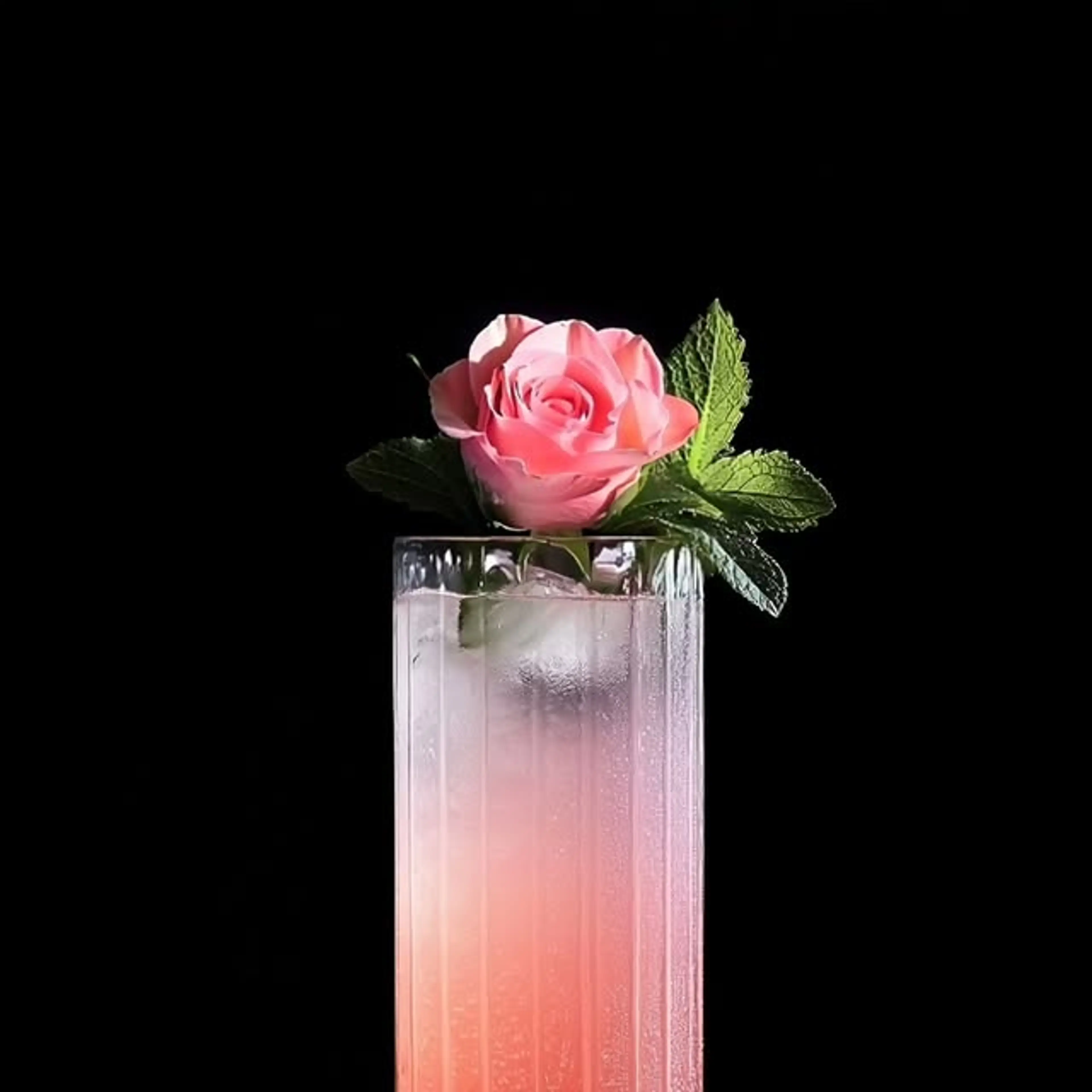 Raspberry Rose Floradora