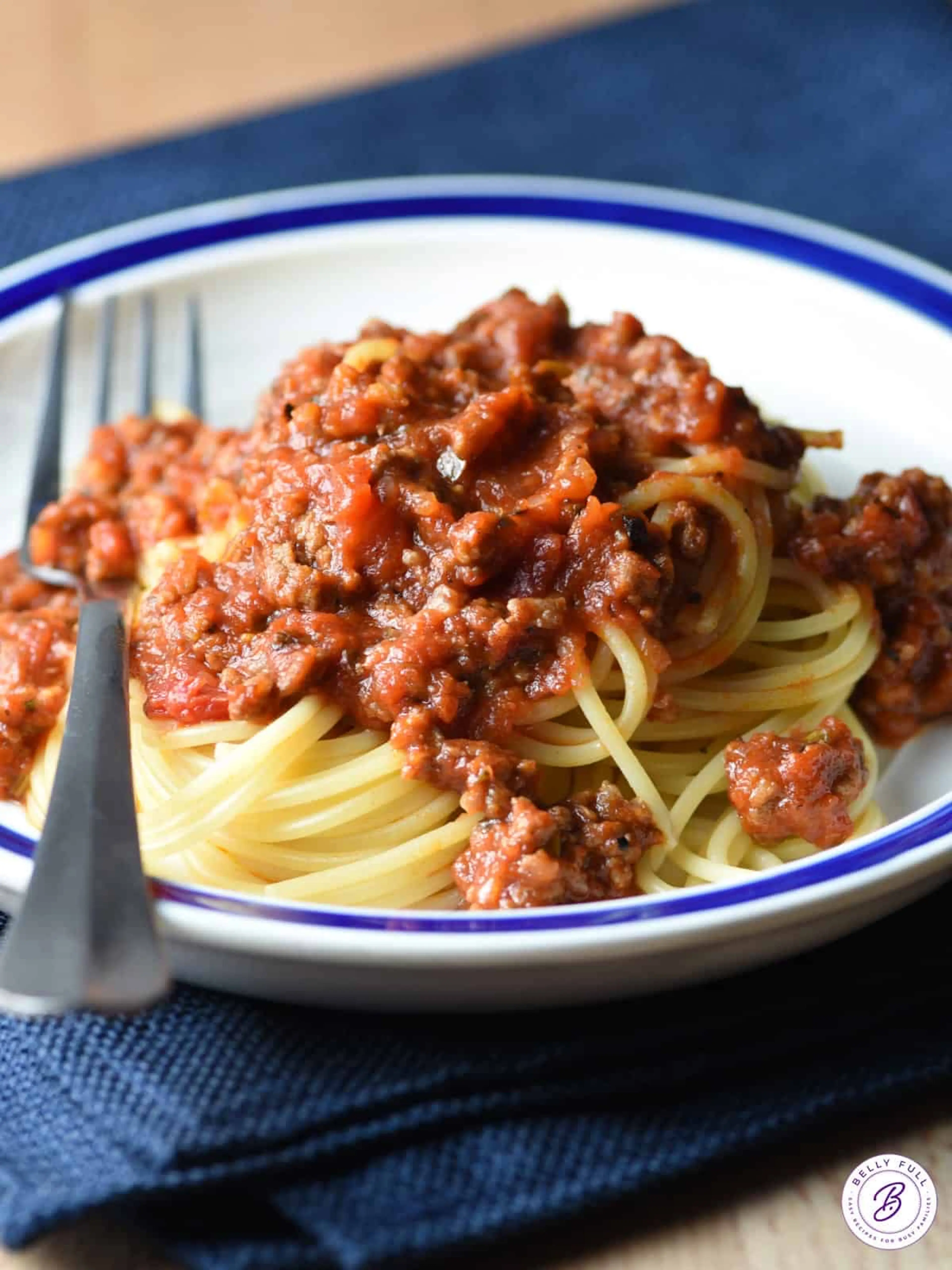 Homemade Spaghetti Sauce