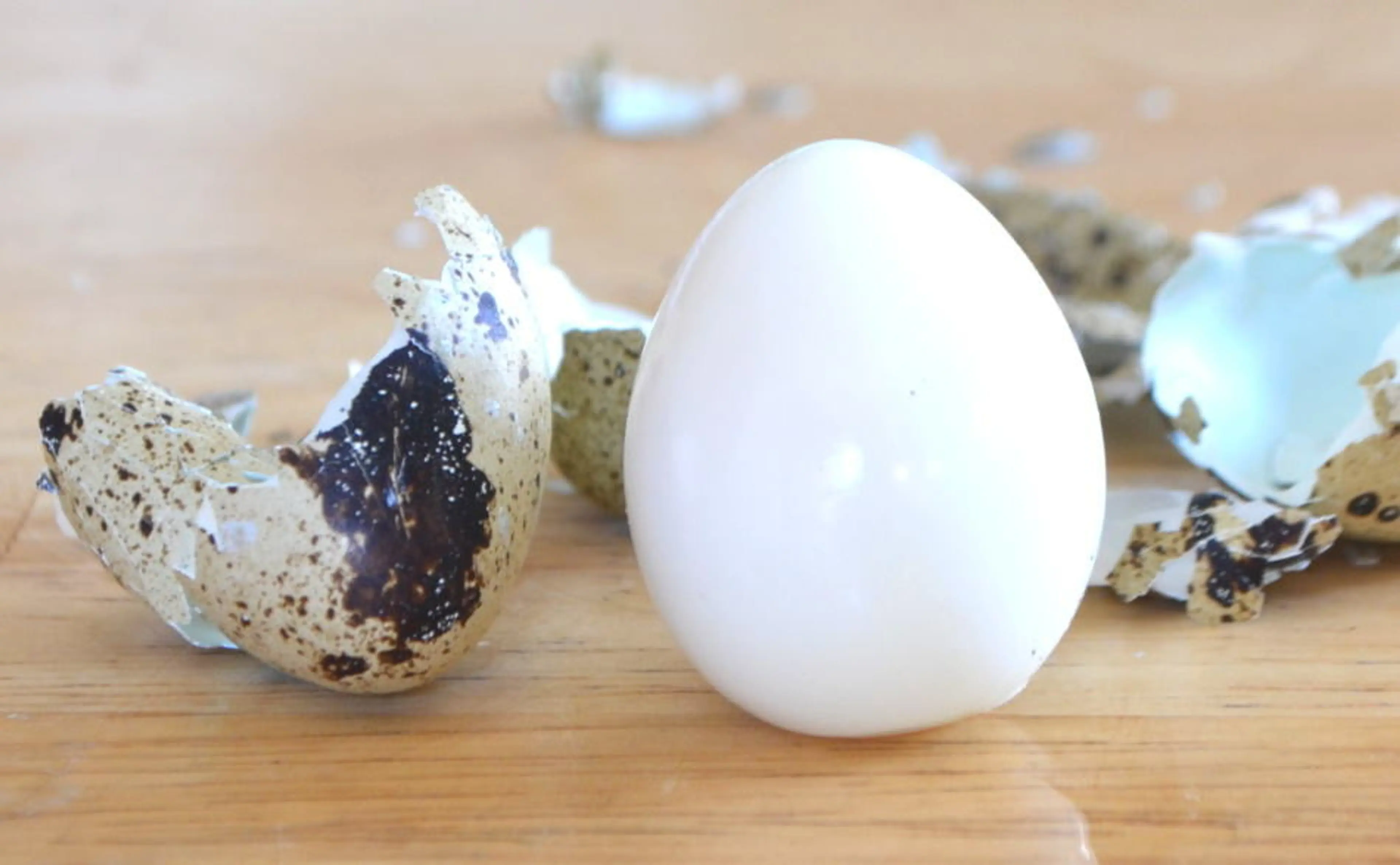 Hard Boiled Quail Eggs