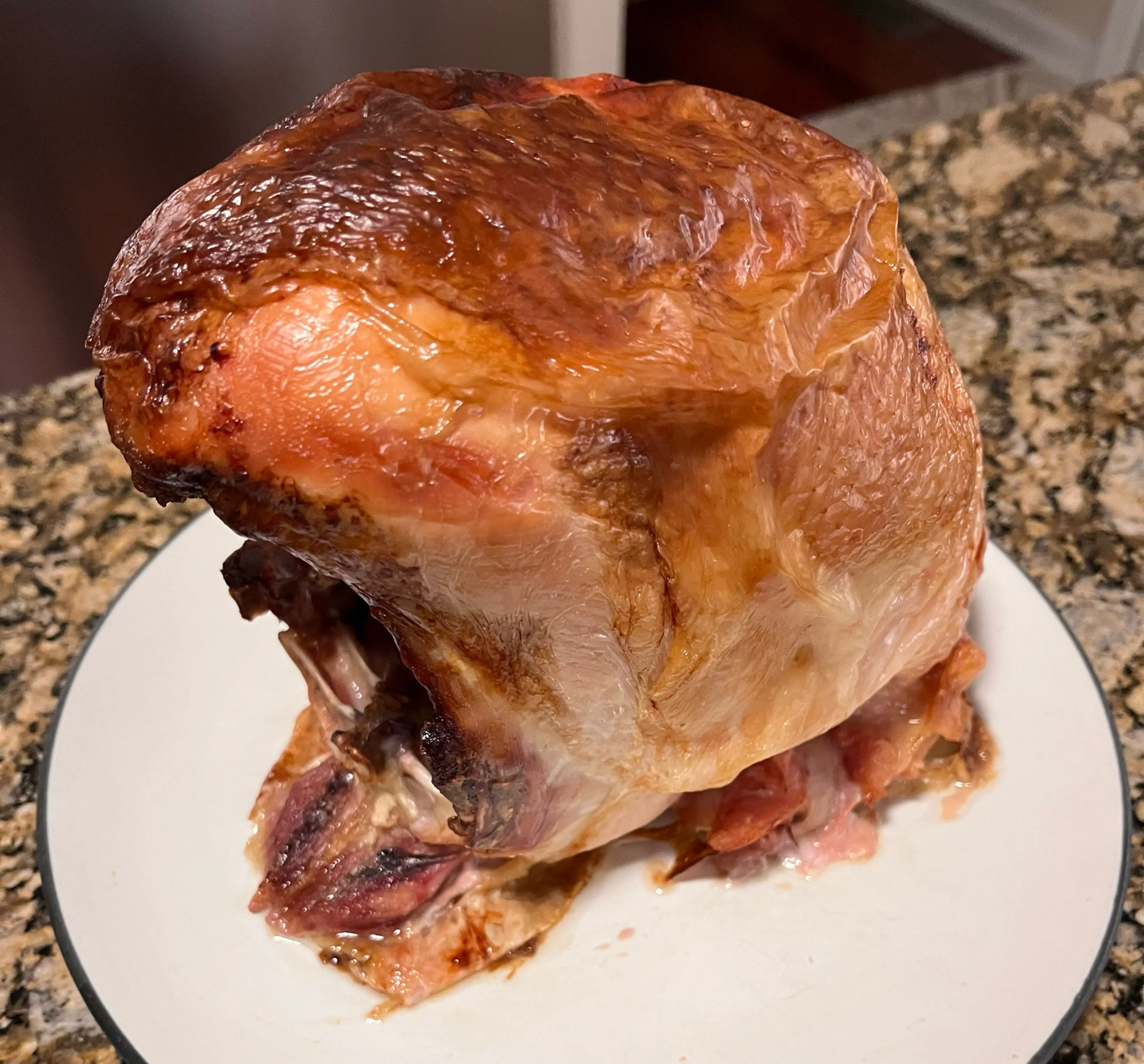 Cooking a Turkey Breast