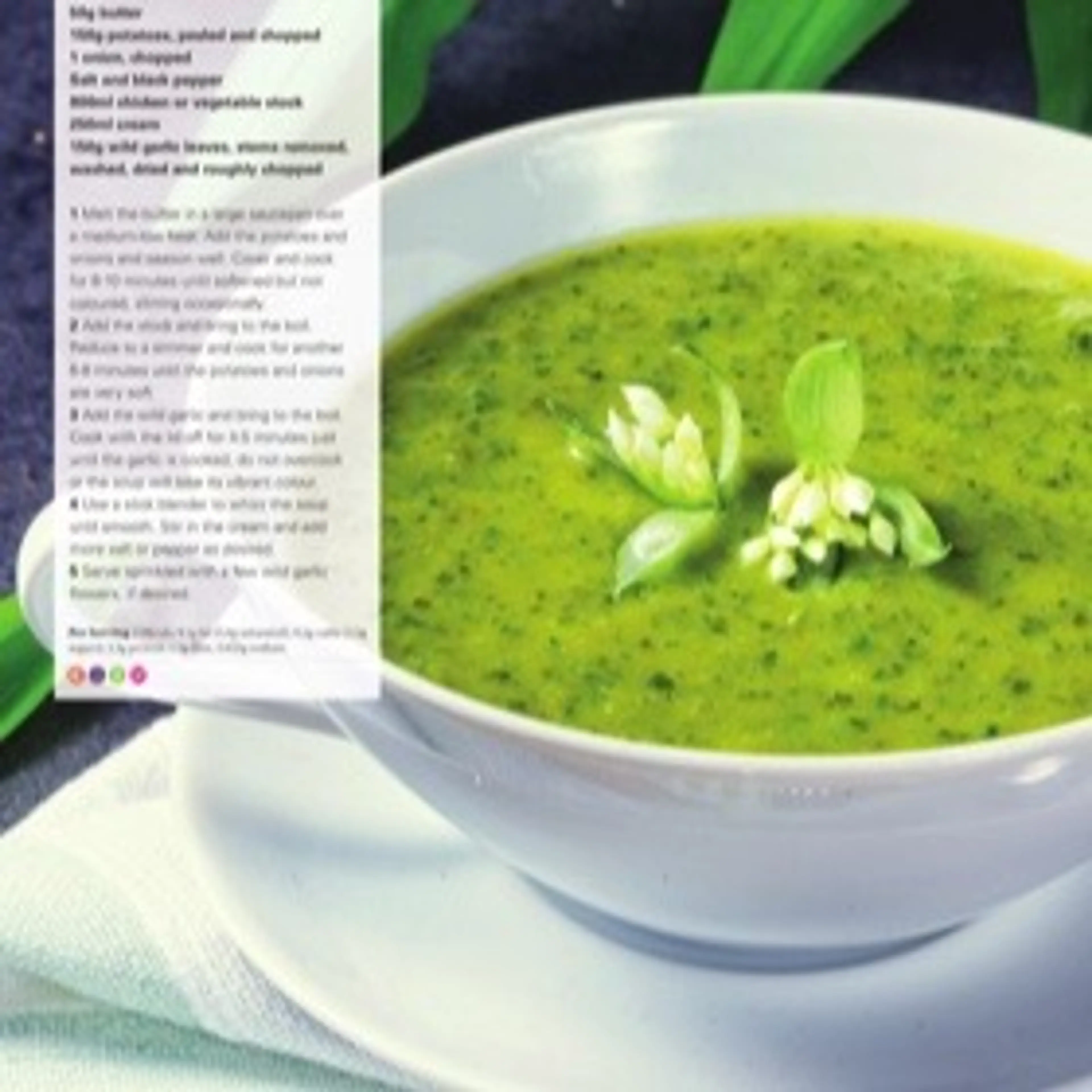 CRERMY WILD GARLIC SOUP