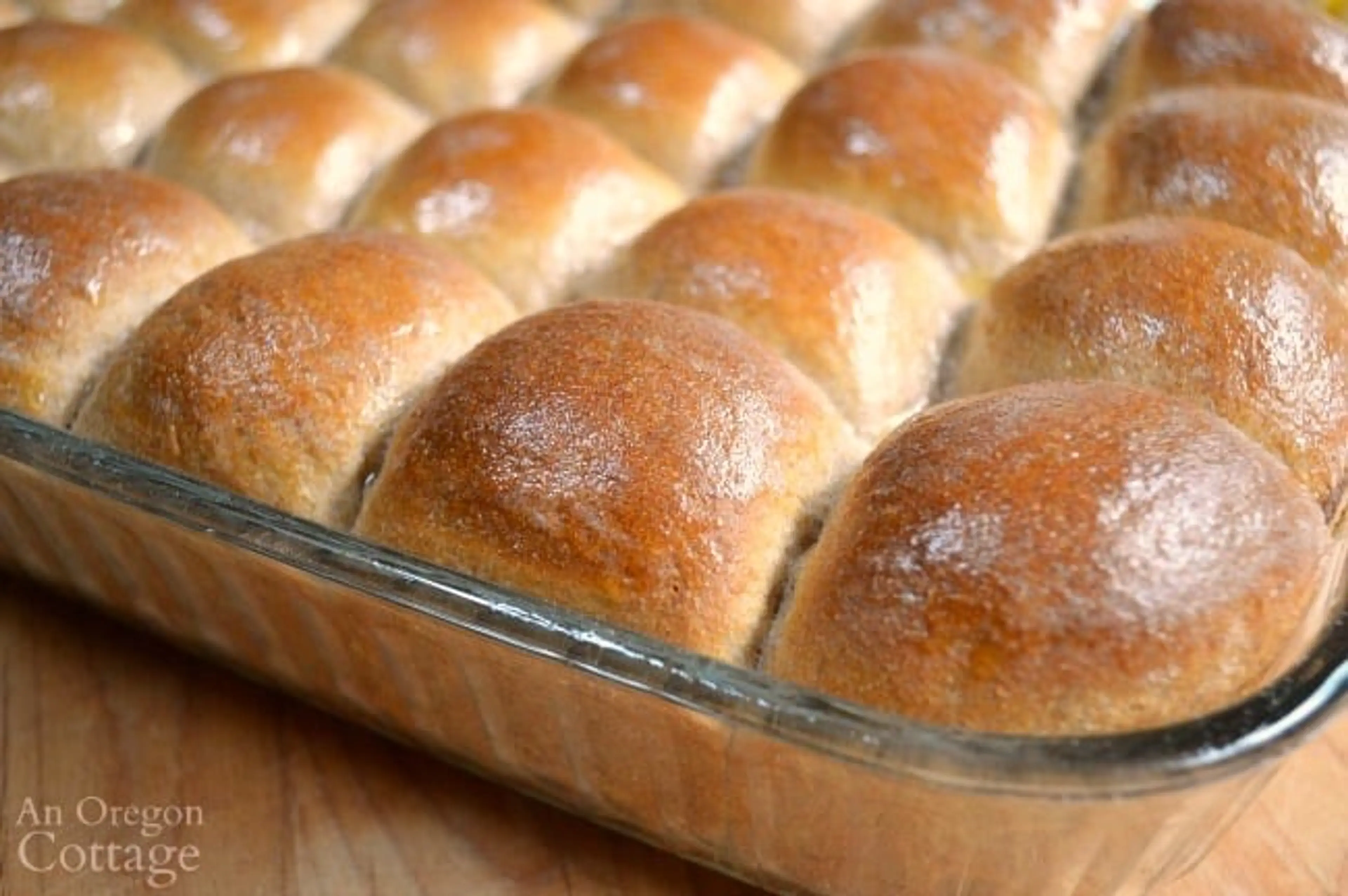 Soft 100% Whole Wheat Dinner Rolls Recipe