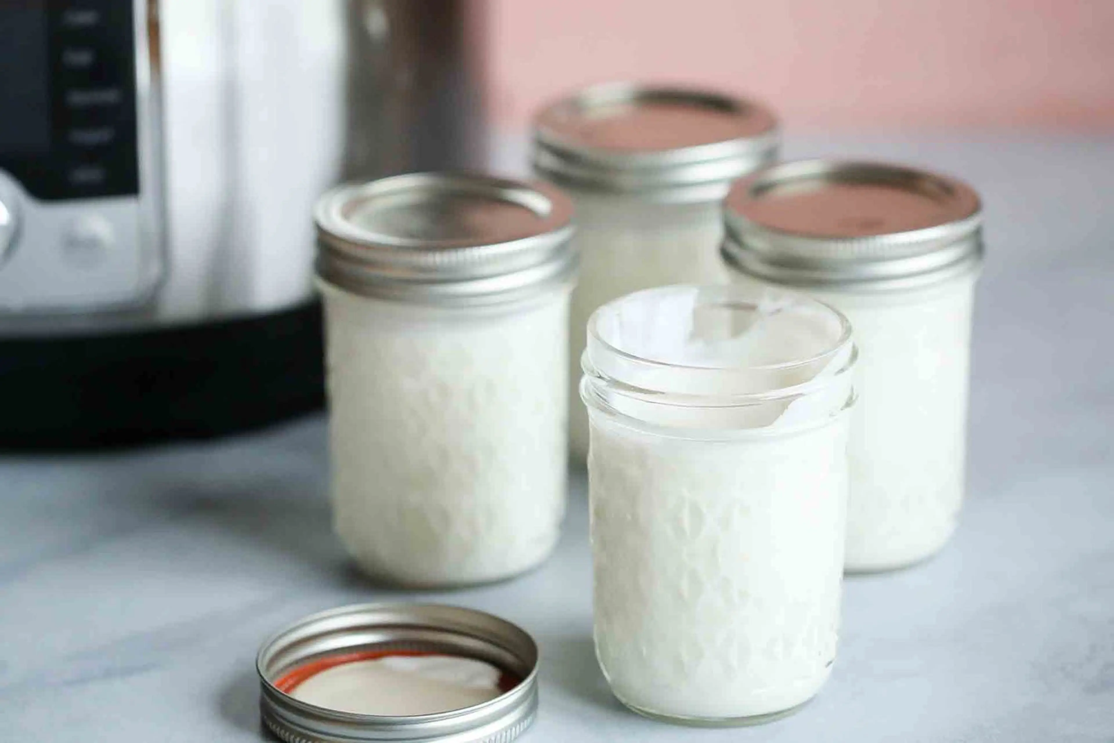 The Best Instant Pot Yogurt