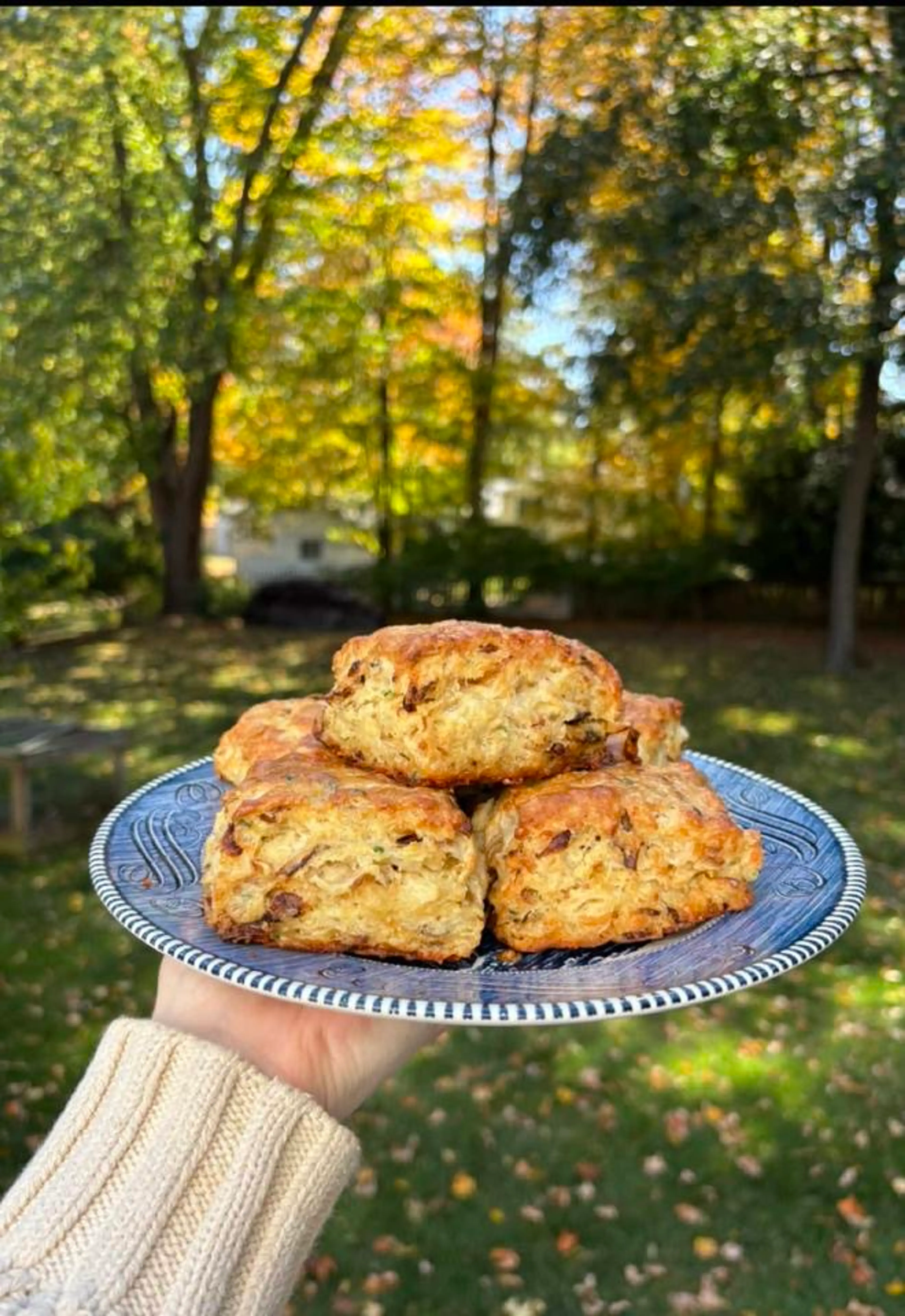 Caramelized Onion & Gruyère Biscuits