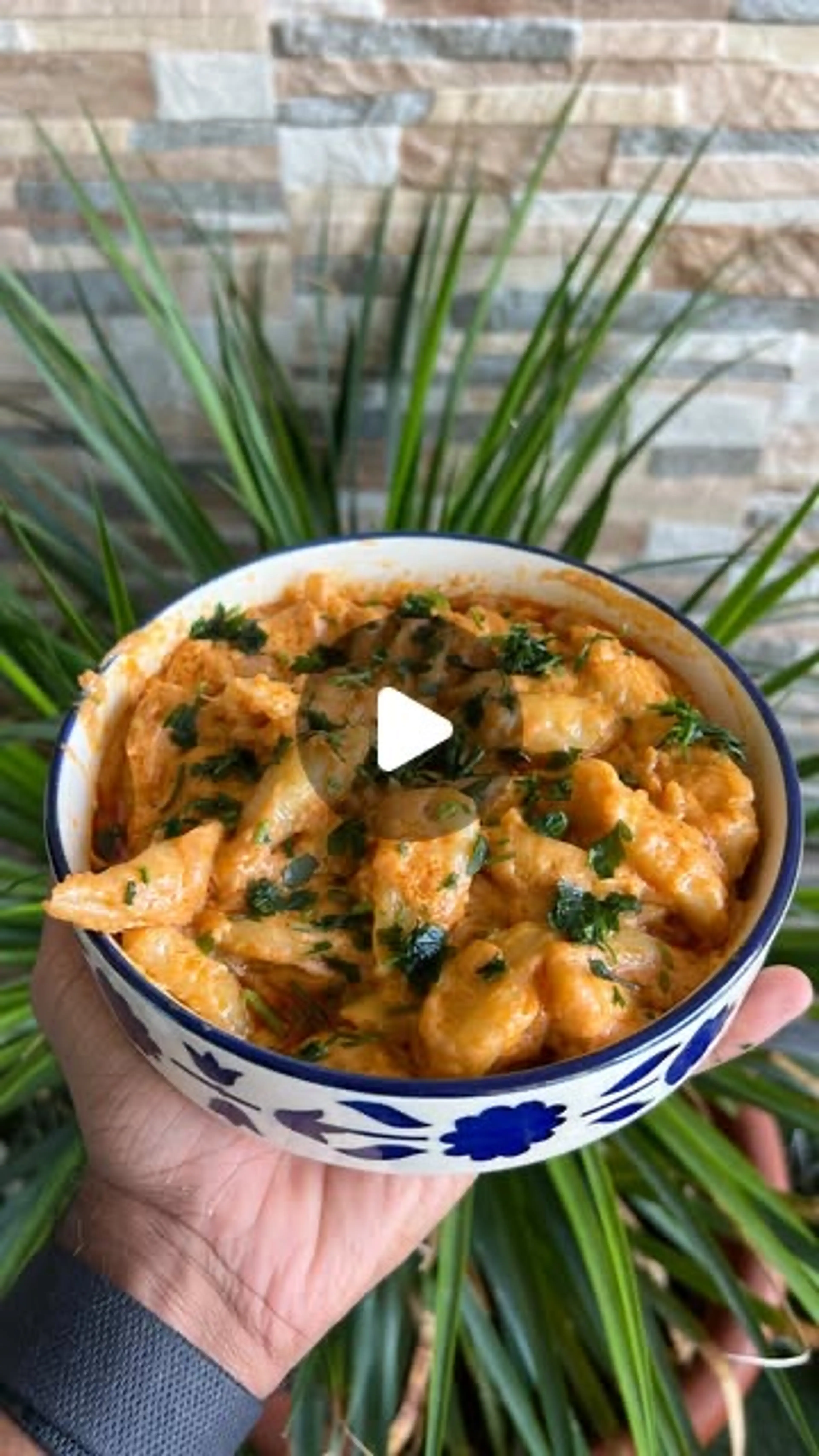 Scissor Cut Tofu Noodles X