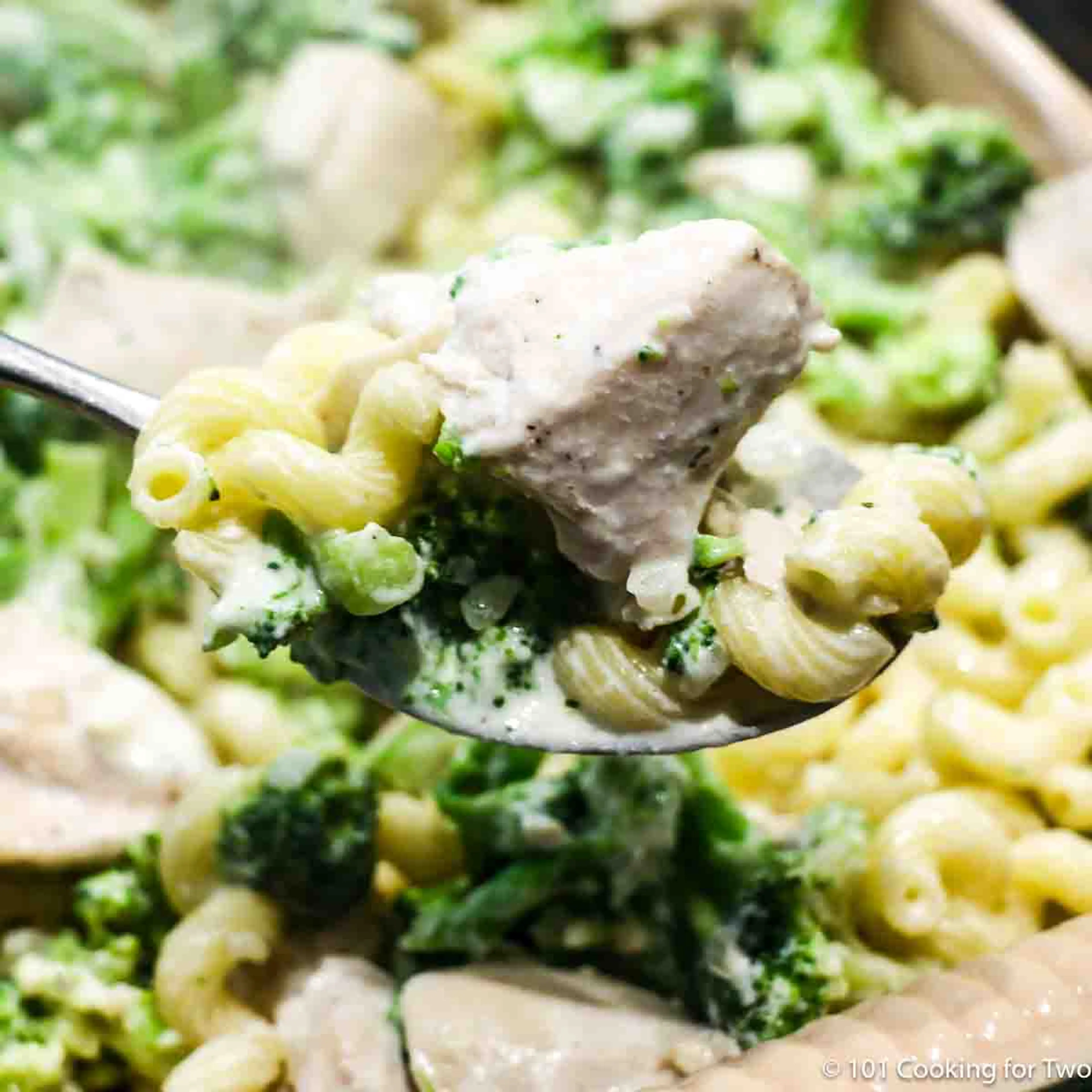 Broccoli Chicken Pasta with Boursin Sauce
