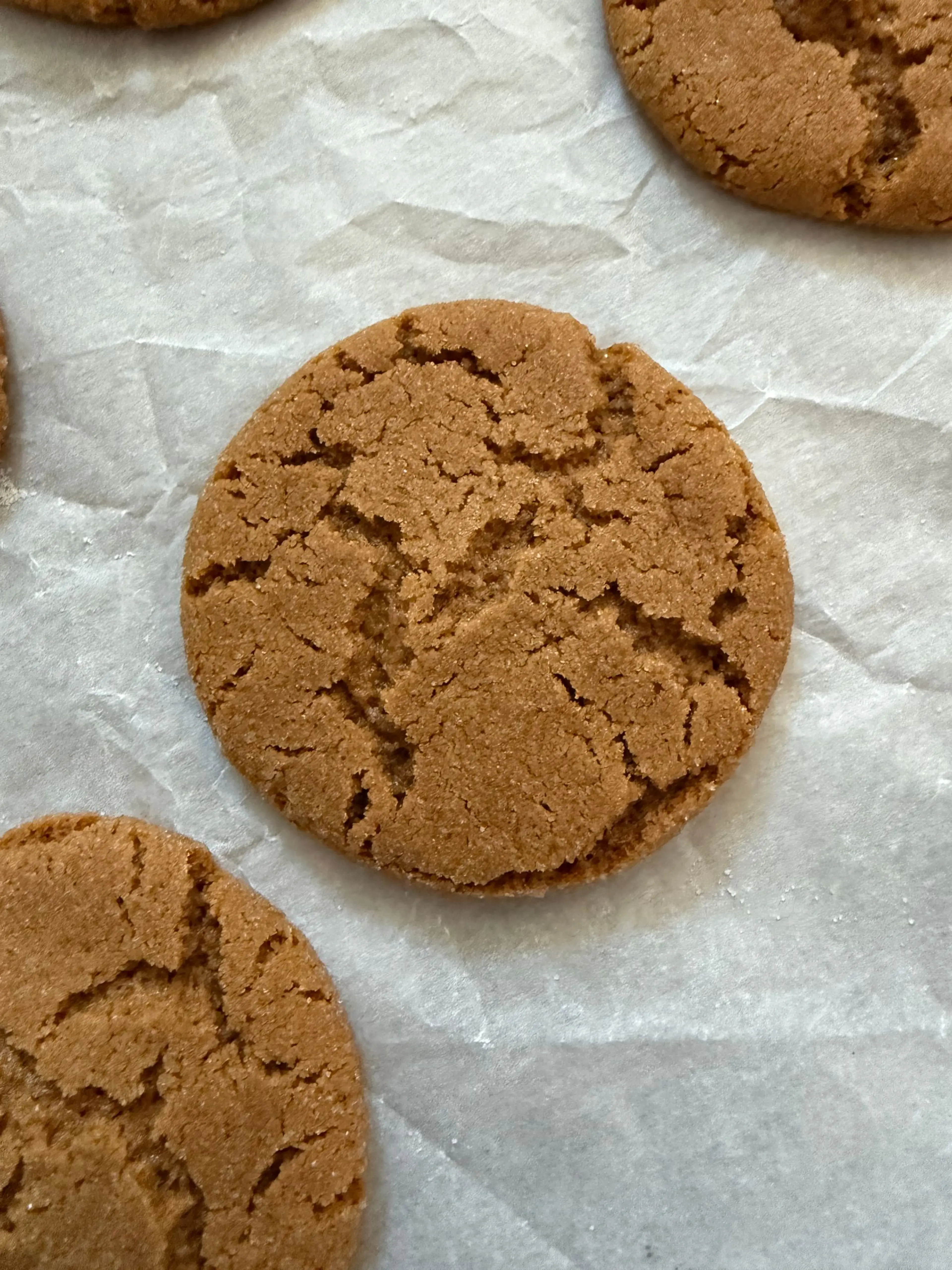 Chewy Molasses Cookies