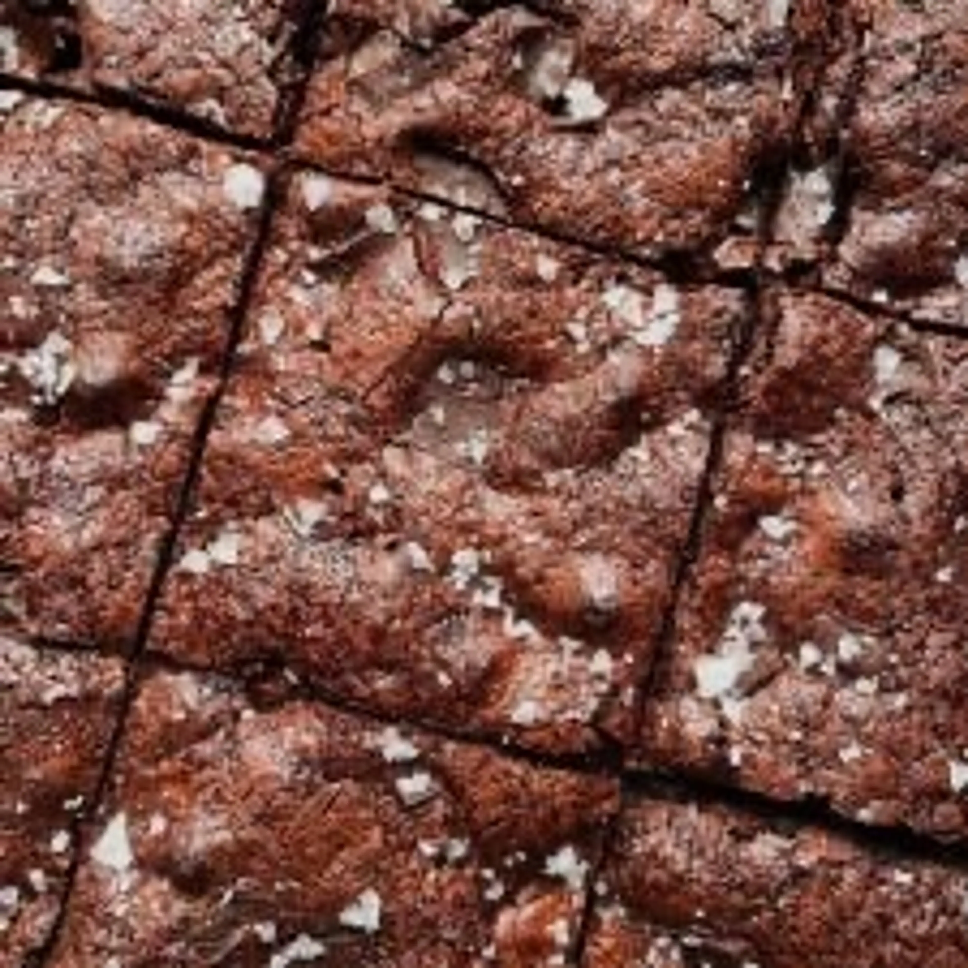 Fudgy Sourdough Discard Brownies