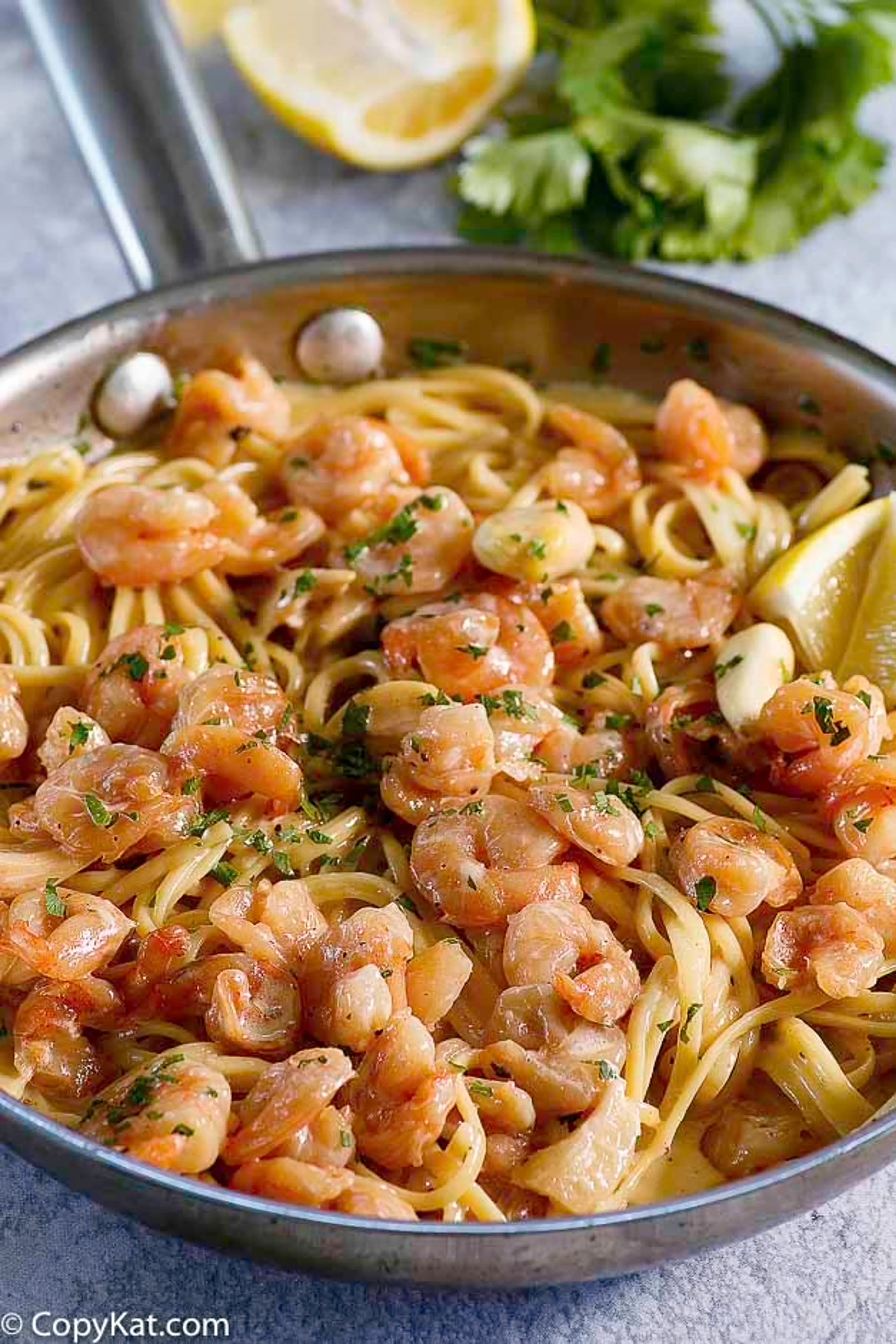 Shells Shrimp and Garlic Pasta