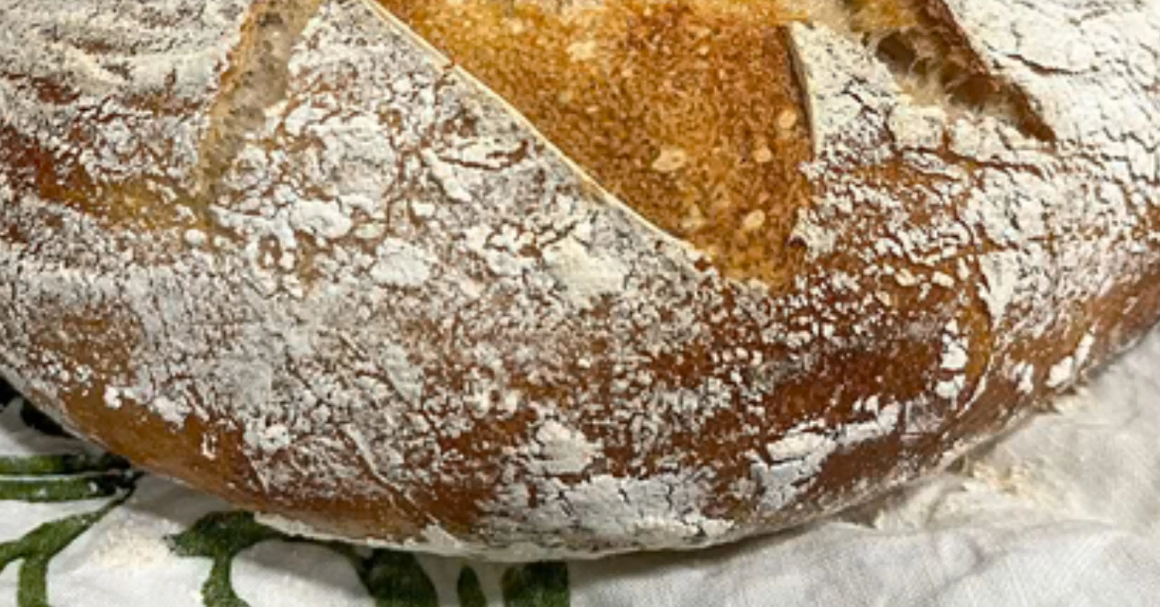 GF Sourdough- Caputo