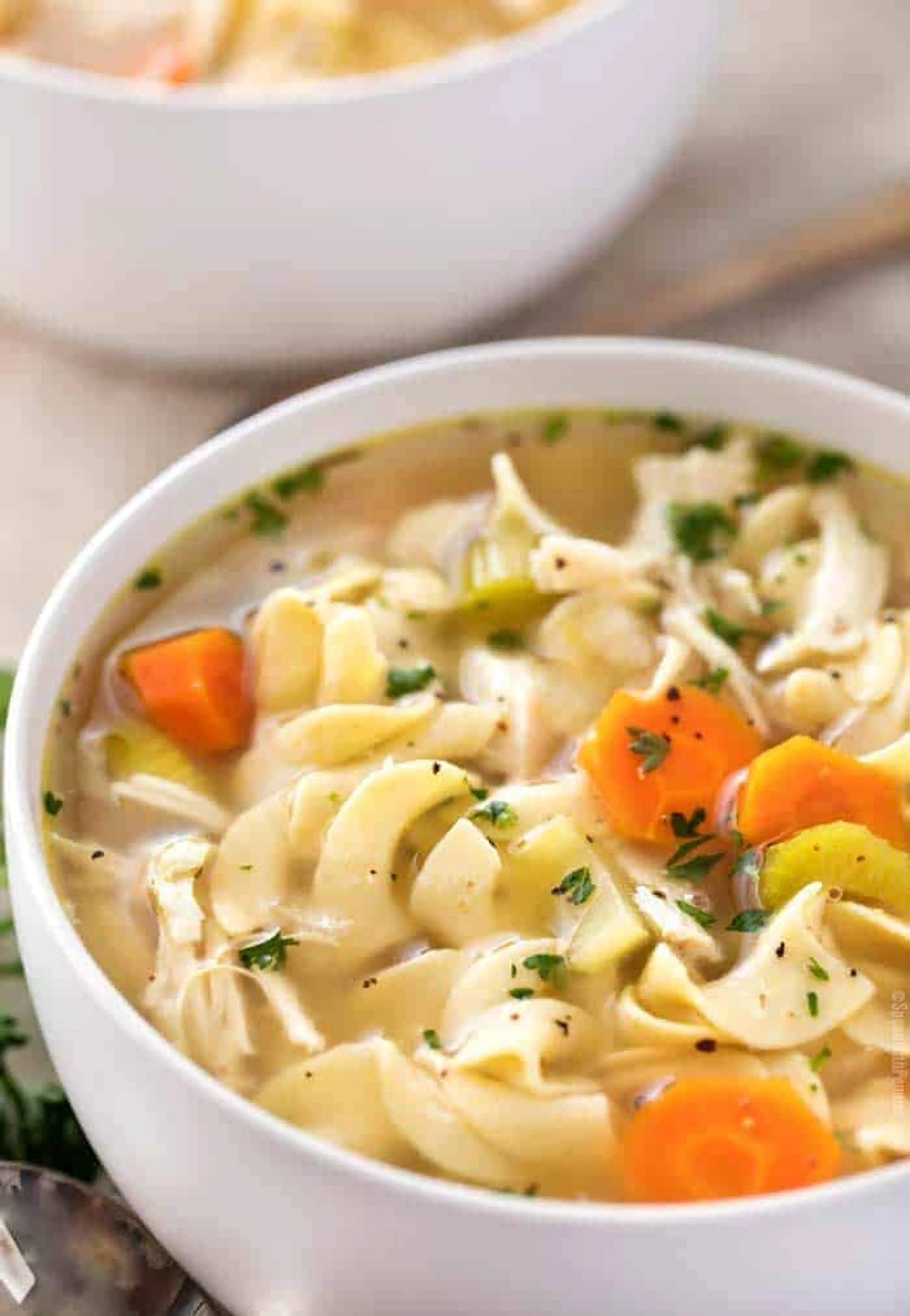 Crockpot Chicken Noodle Soup