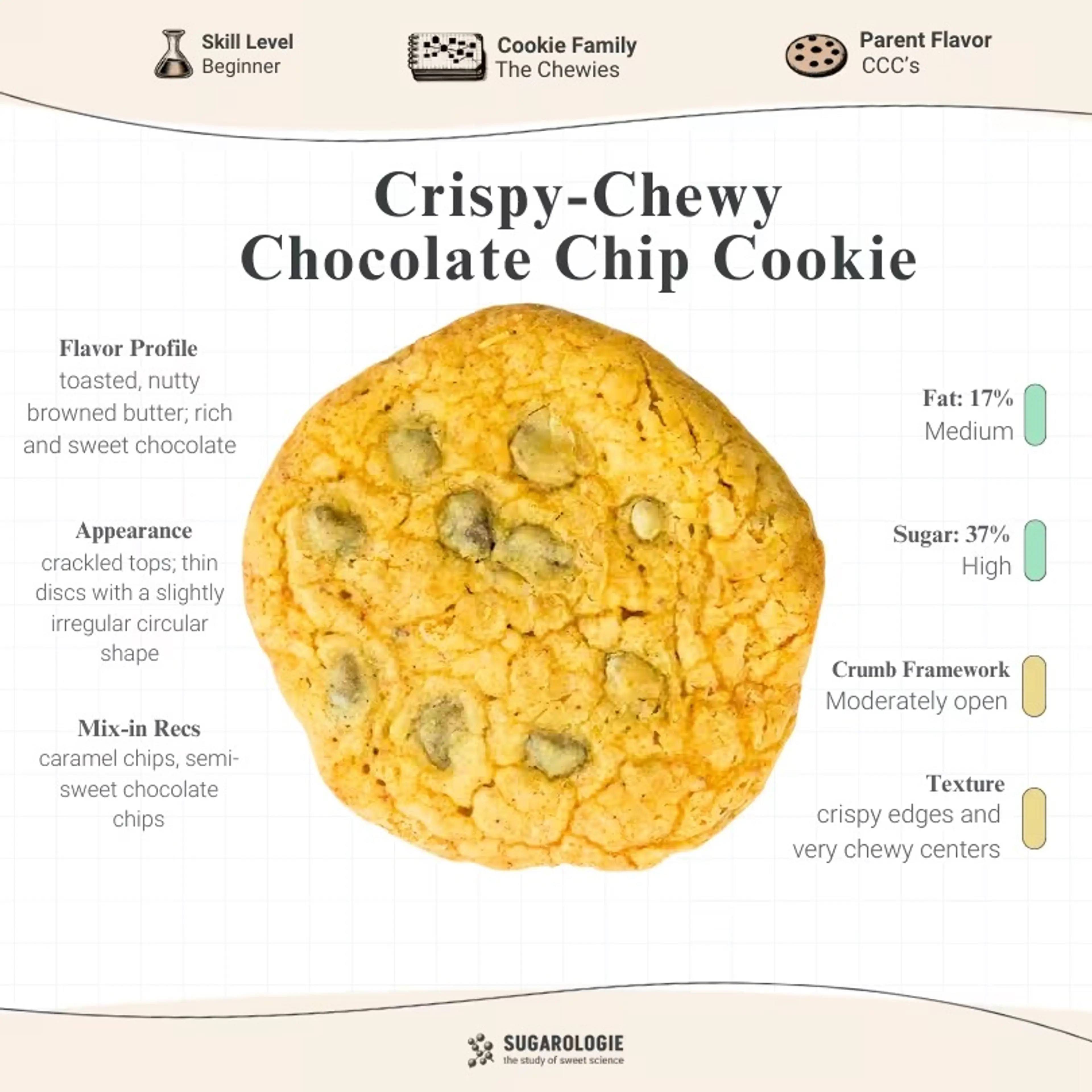 CRISPY CHEWY CHOCOLATE CHIP COOKIES