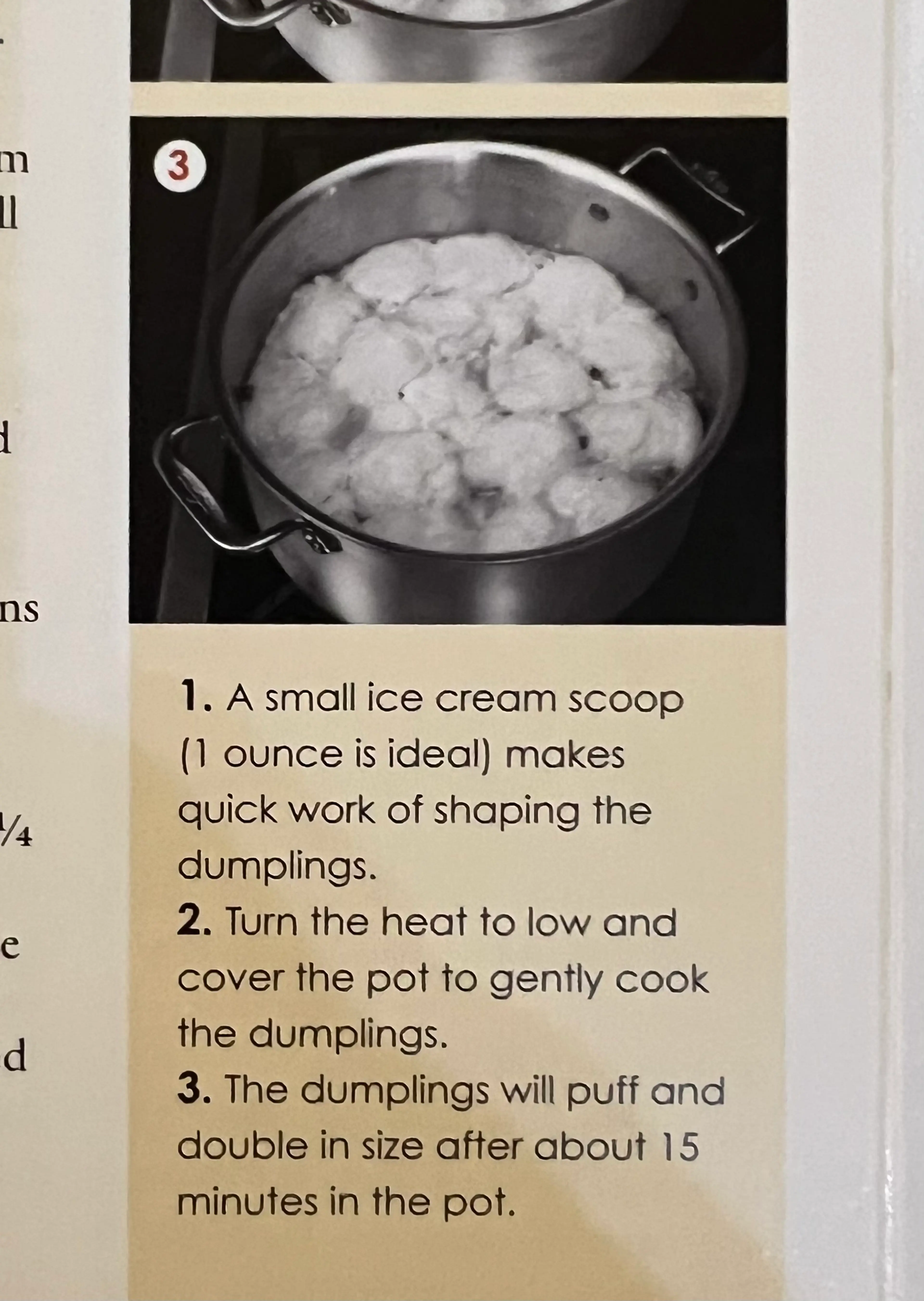 Easier Chicken and Dumplings (ATK)
