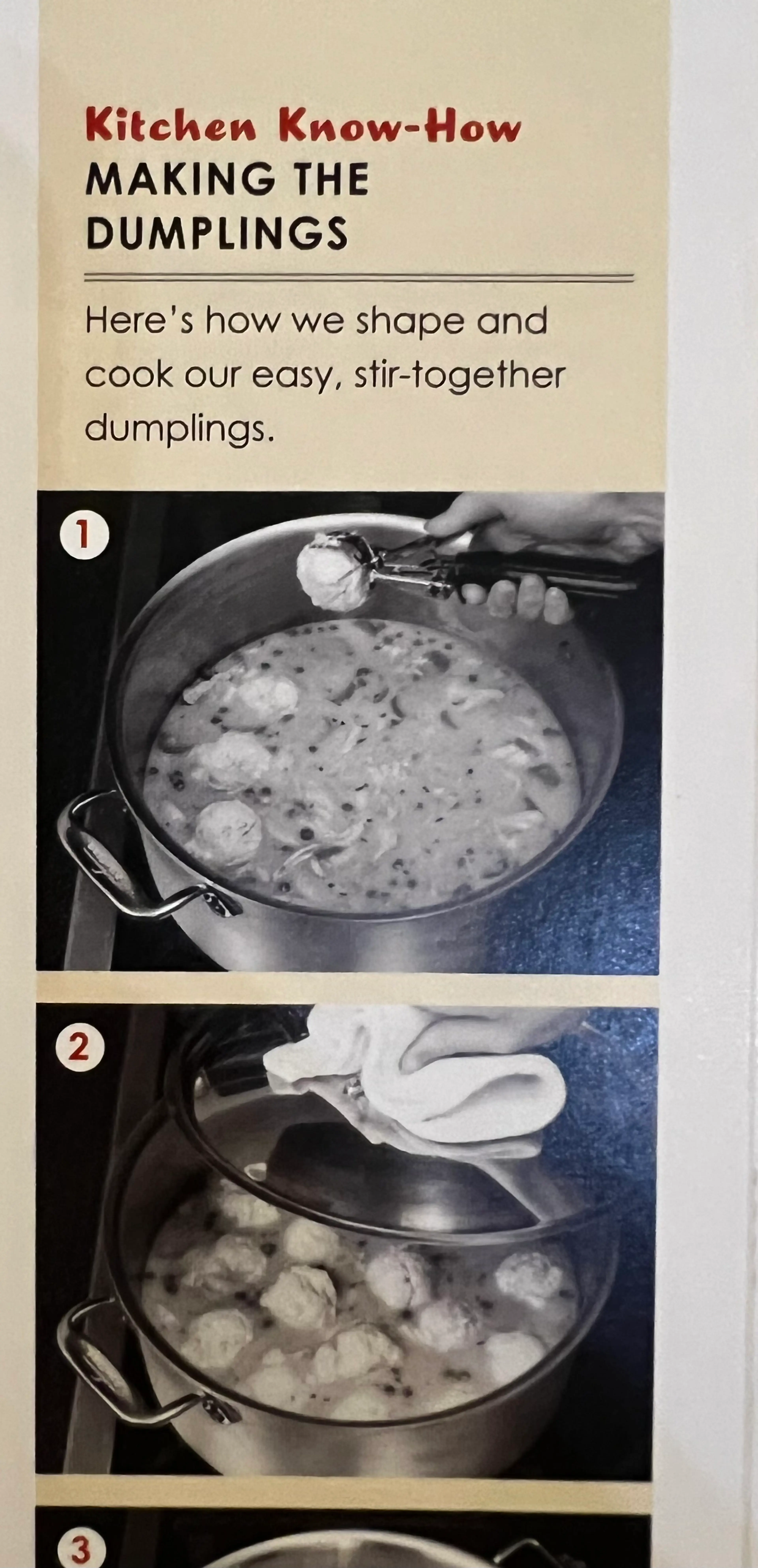 Easier Chicken and Dumplings (ATK)