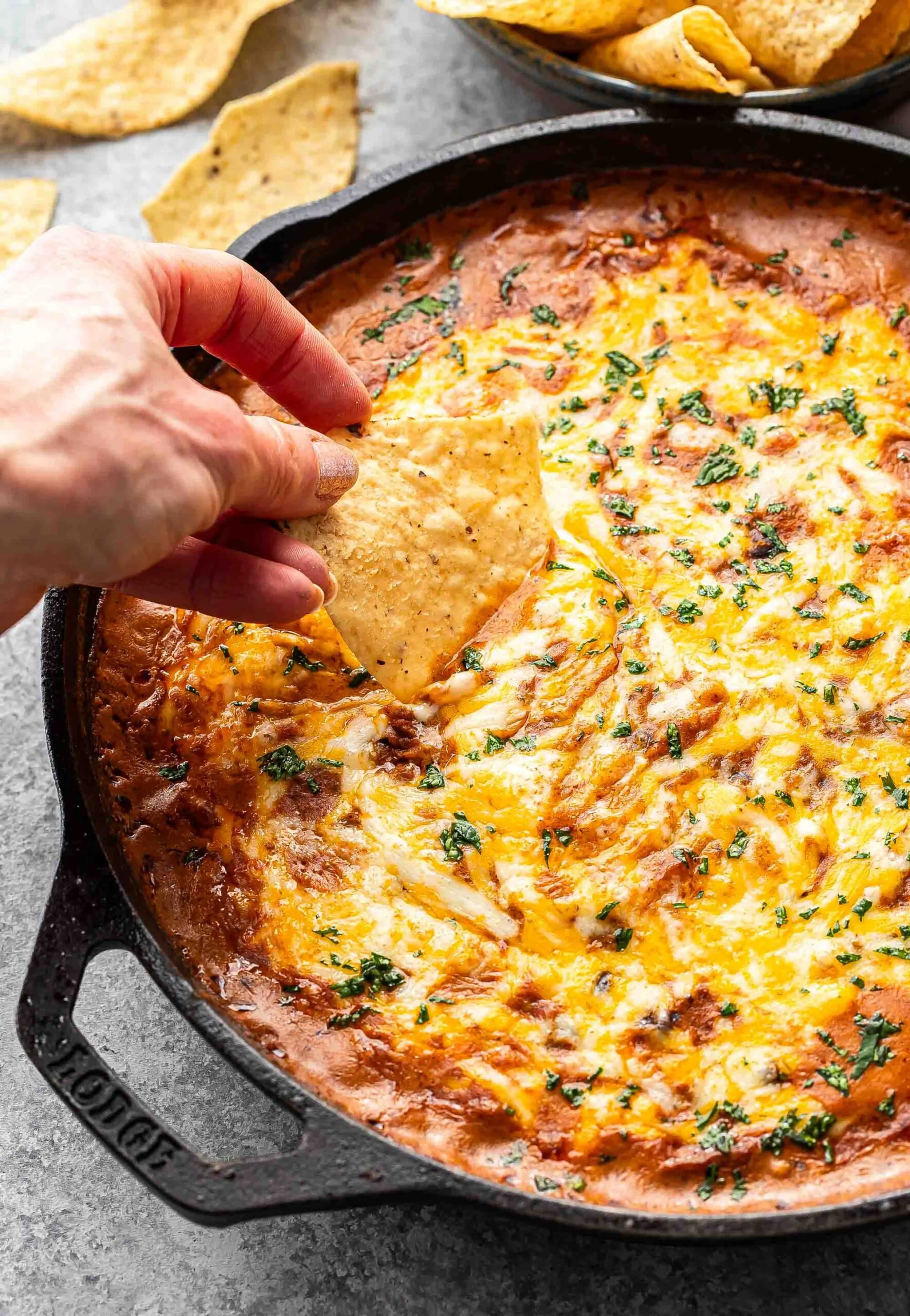 Beef Enchilada Dip