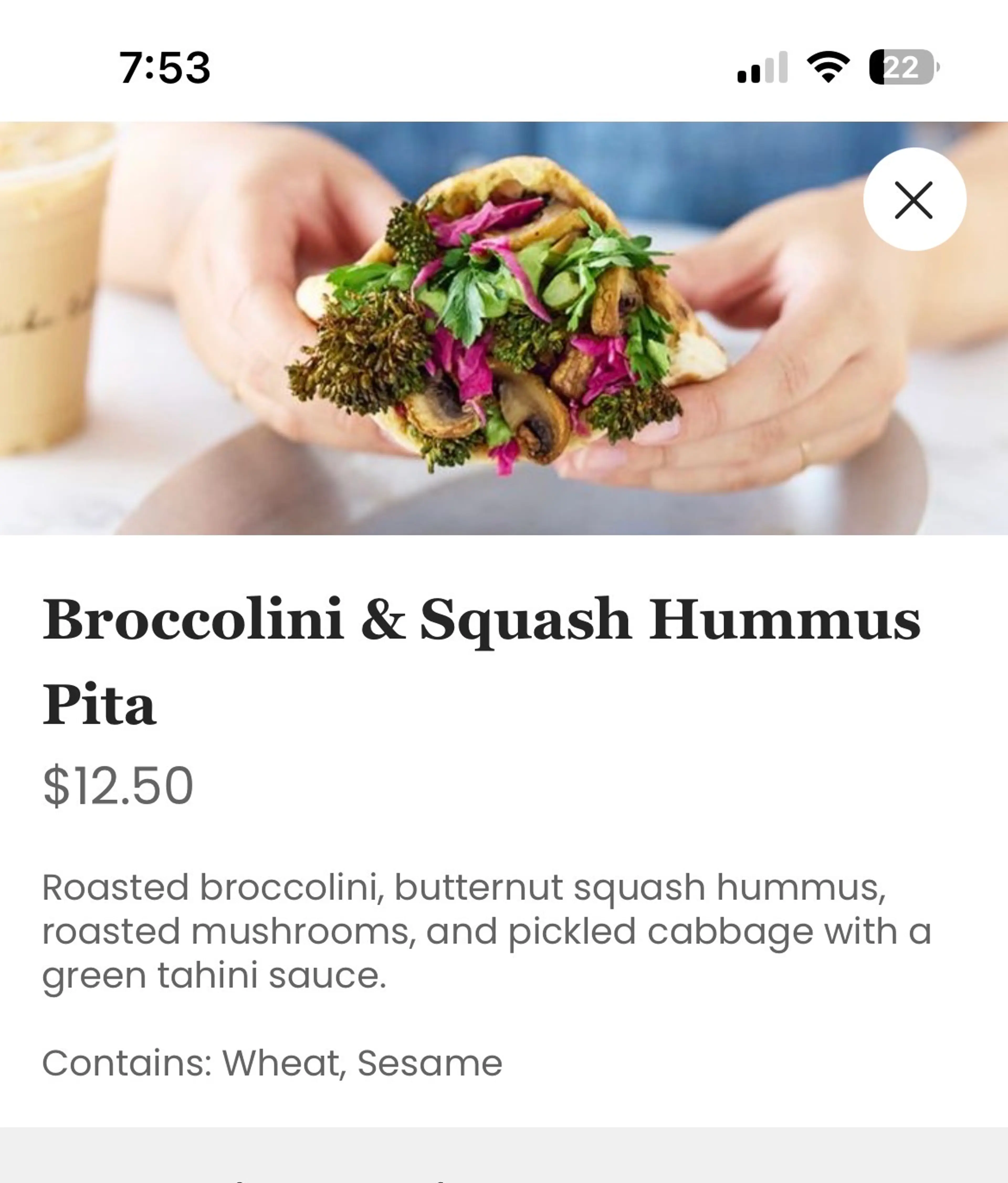 Broccoli Squash Pita