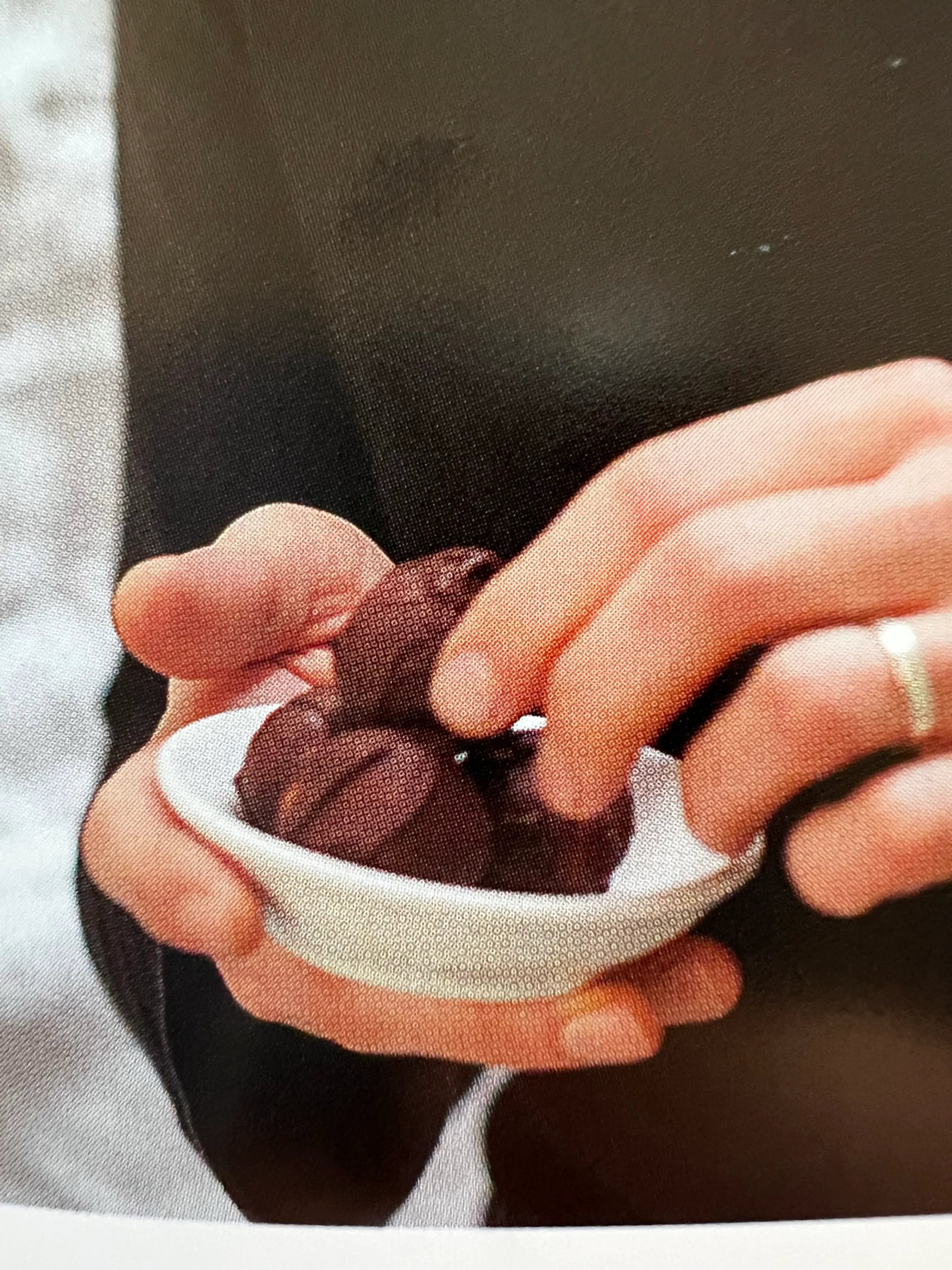 Hazelnut truffles