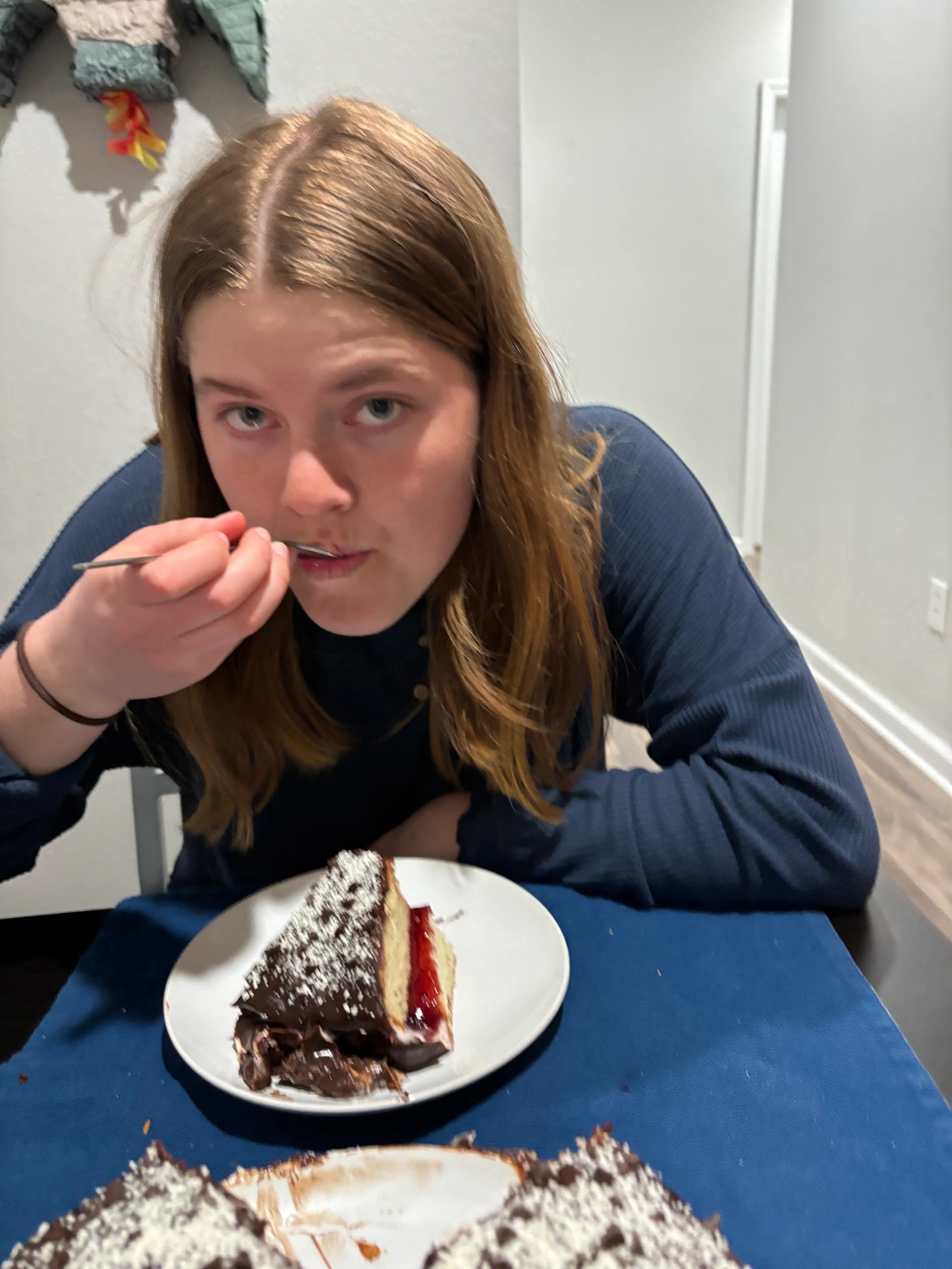 Camille’s Birthday Cake