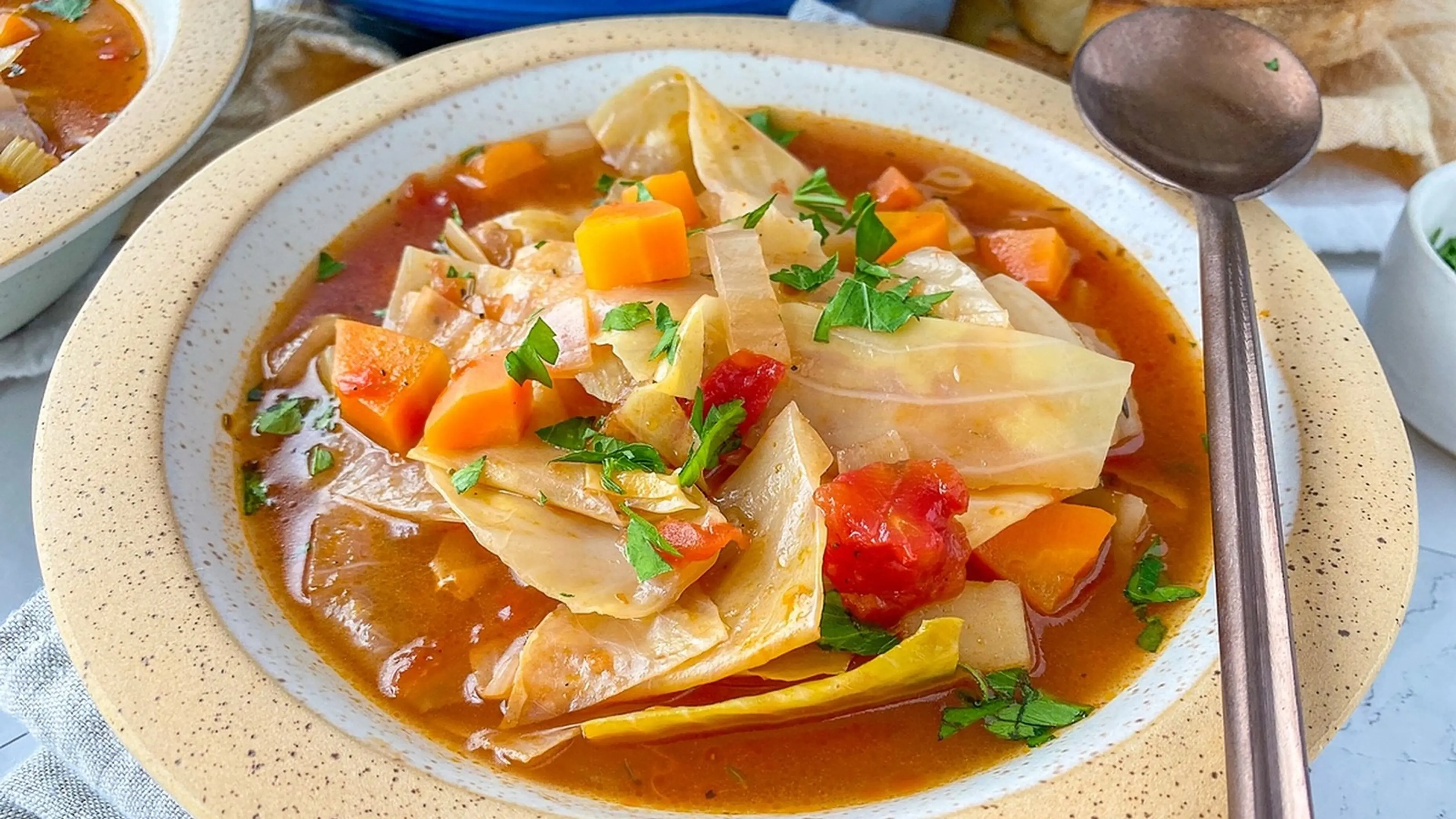 Old-Fashioned Cabbage Soup Recipe