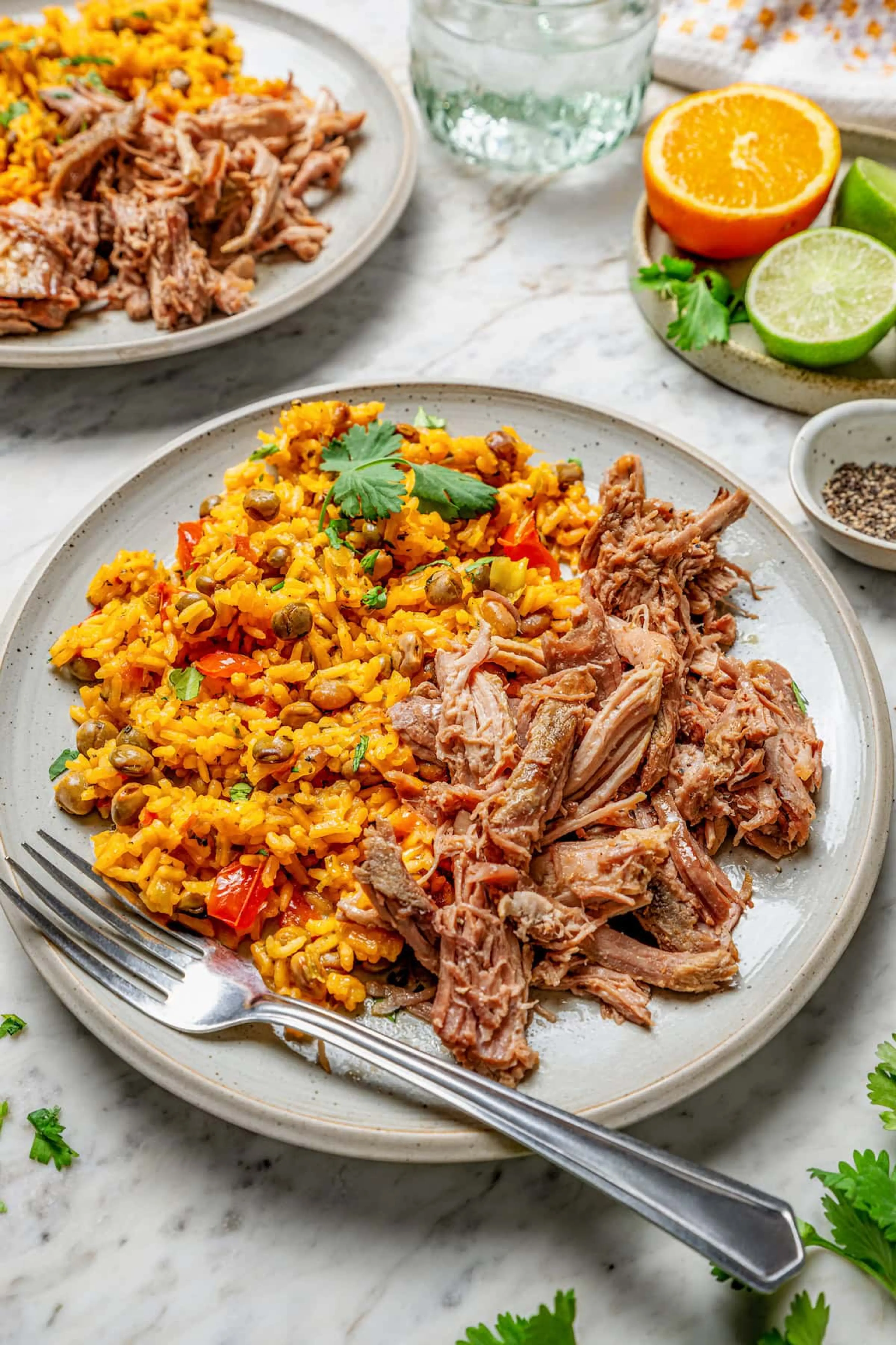 Skinny Taste Pernil