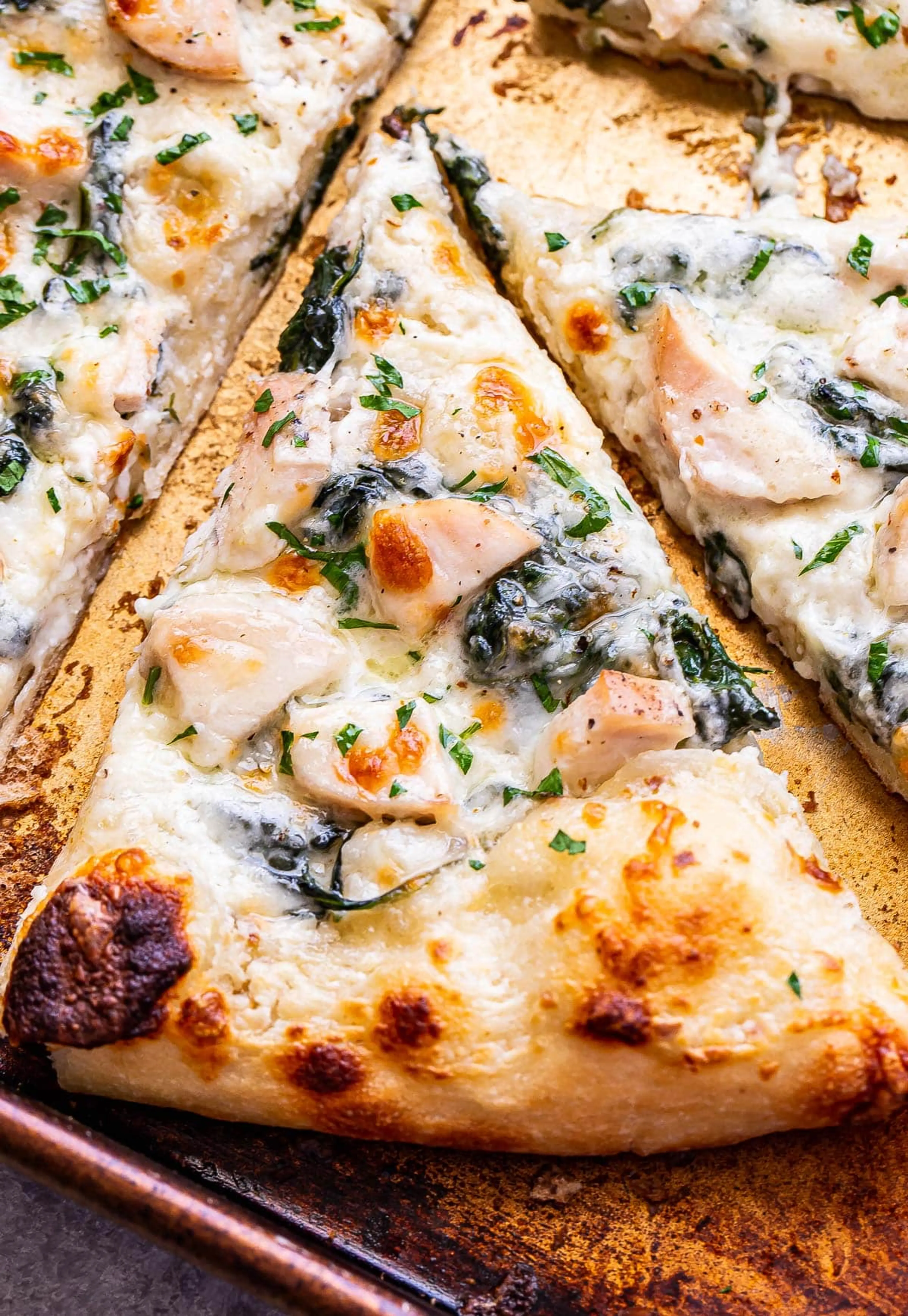Chicken Alfredo Pizza Recipe
