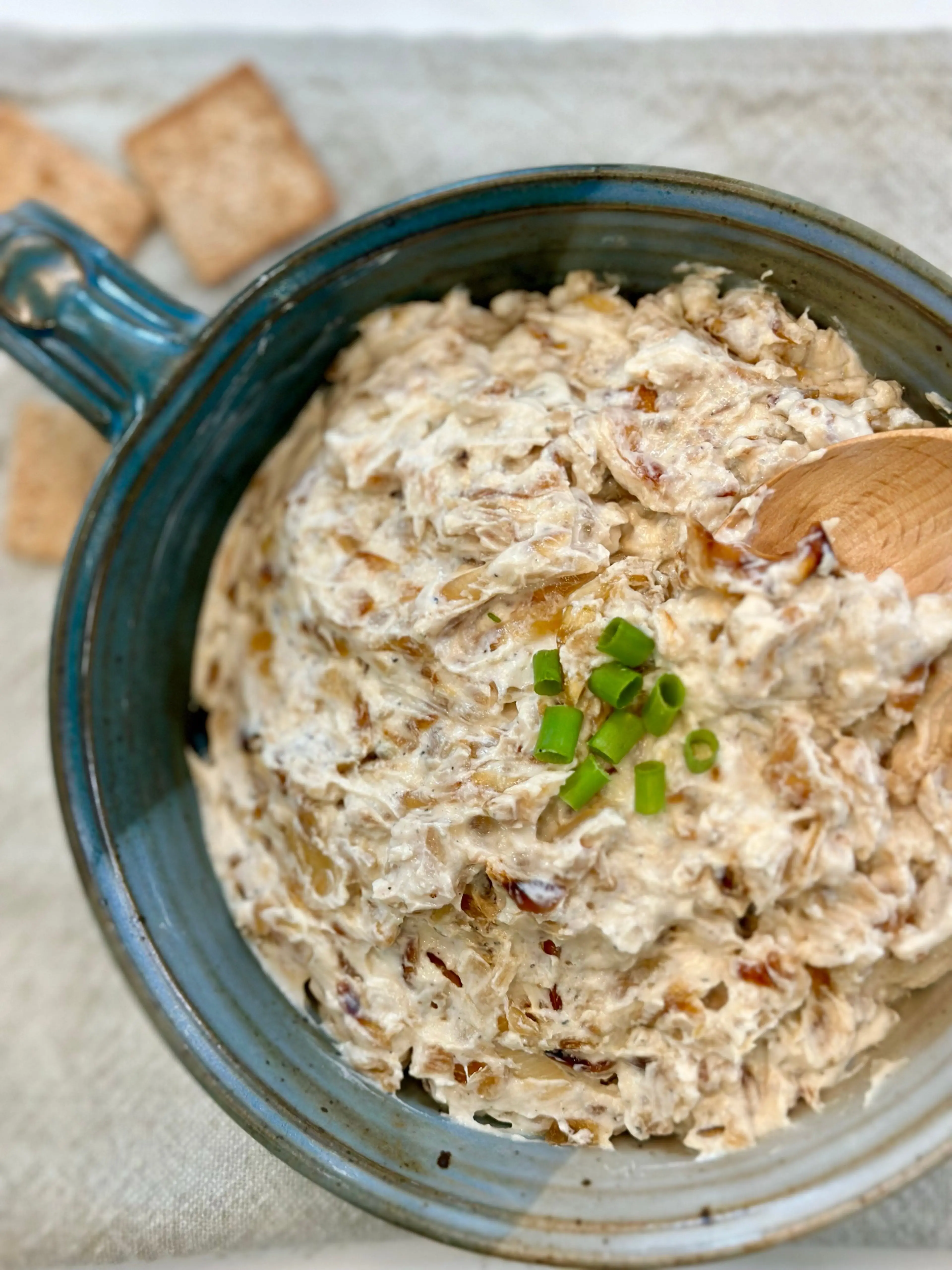 Caramelized Onion Dip