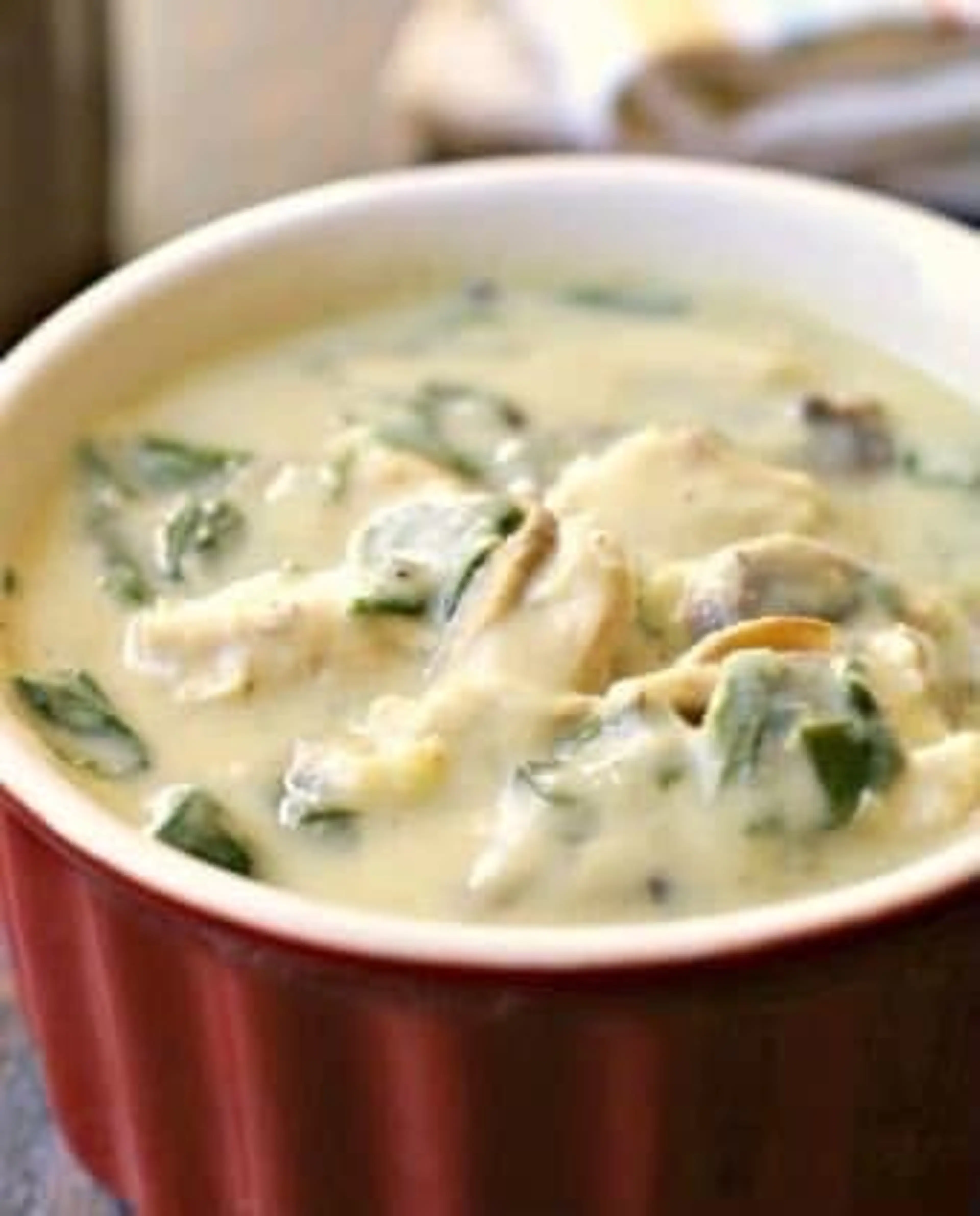 Cream of Chicken & Spinach Soup
