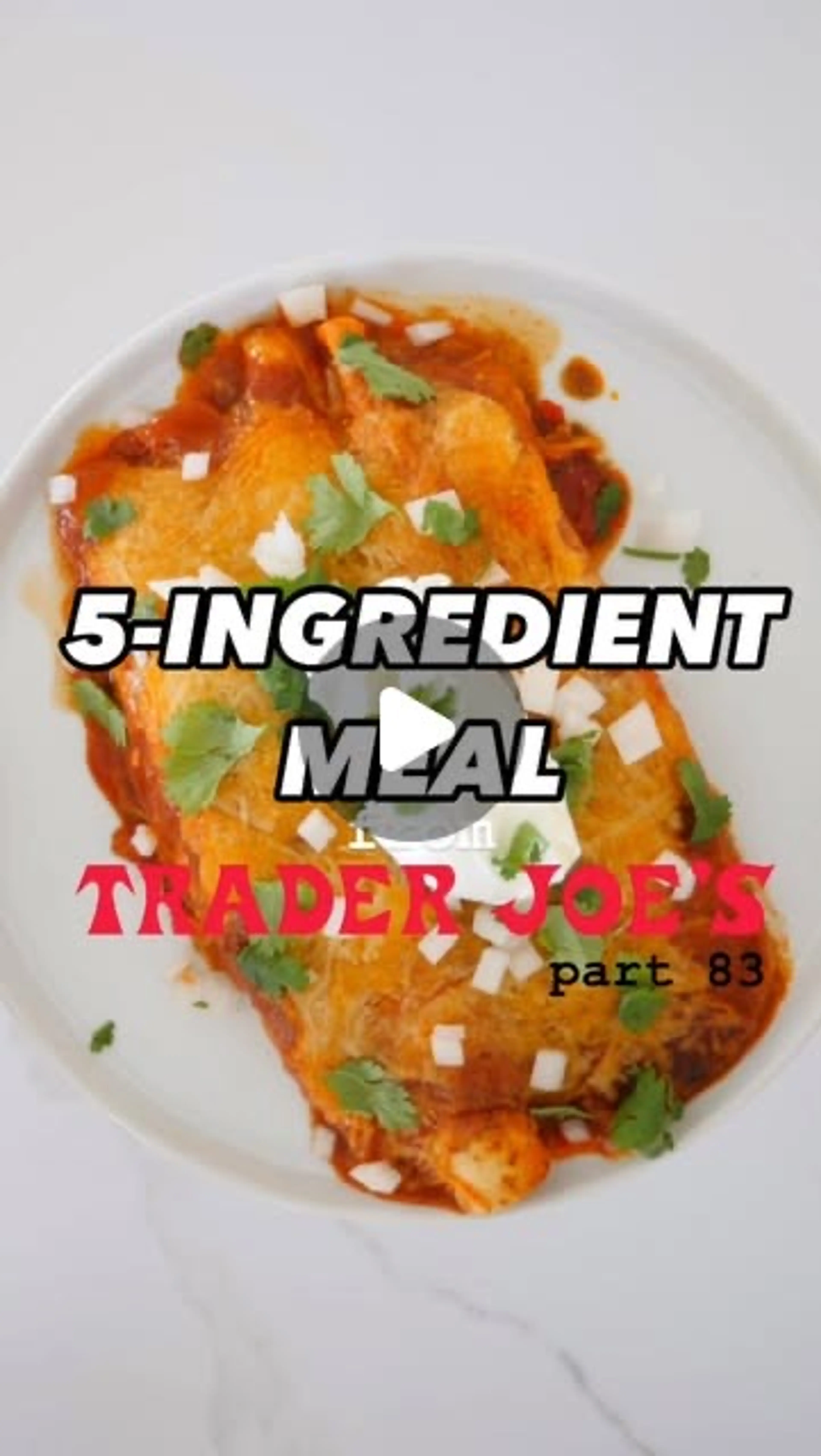Beef Birria And Veggie Enchilada