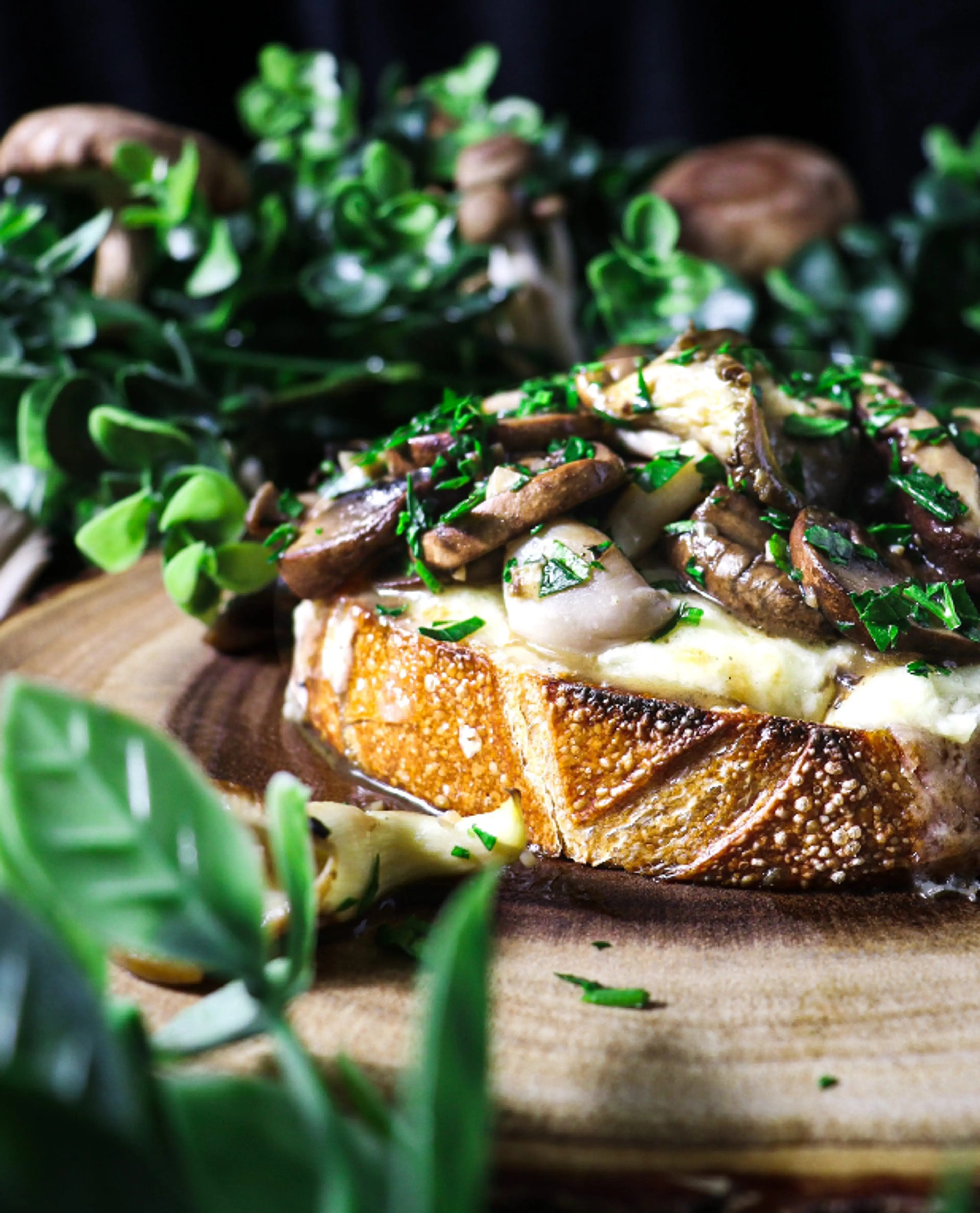Wild Mushrooms on Cheese Toast