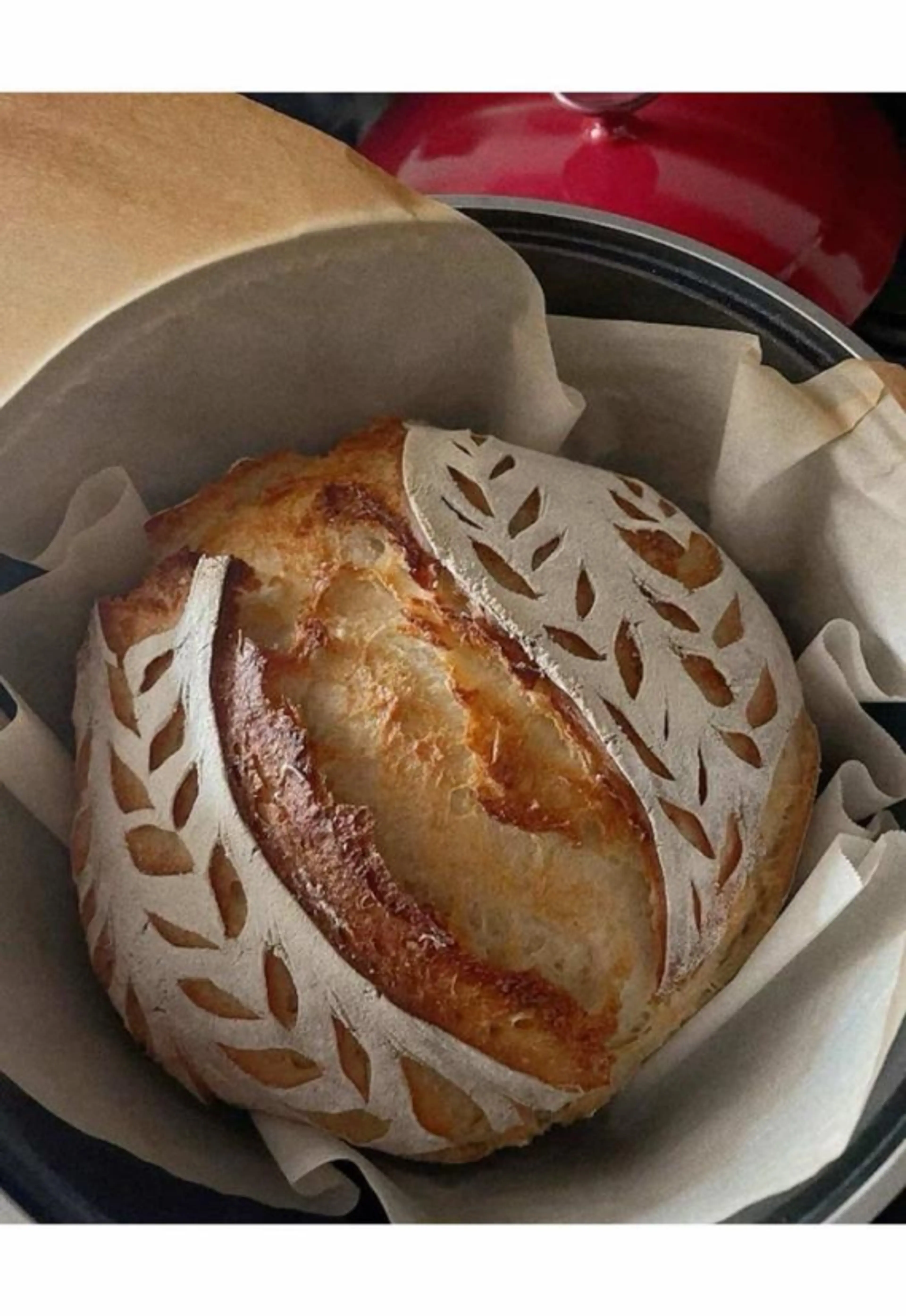 Sourdough Starter