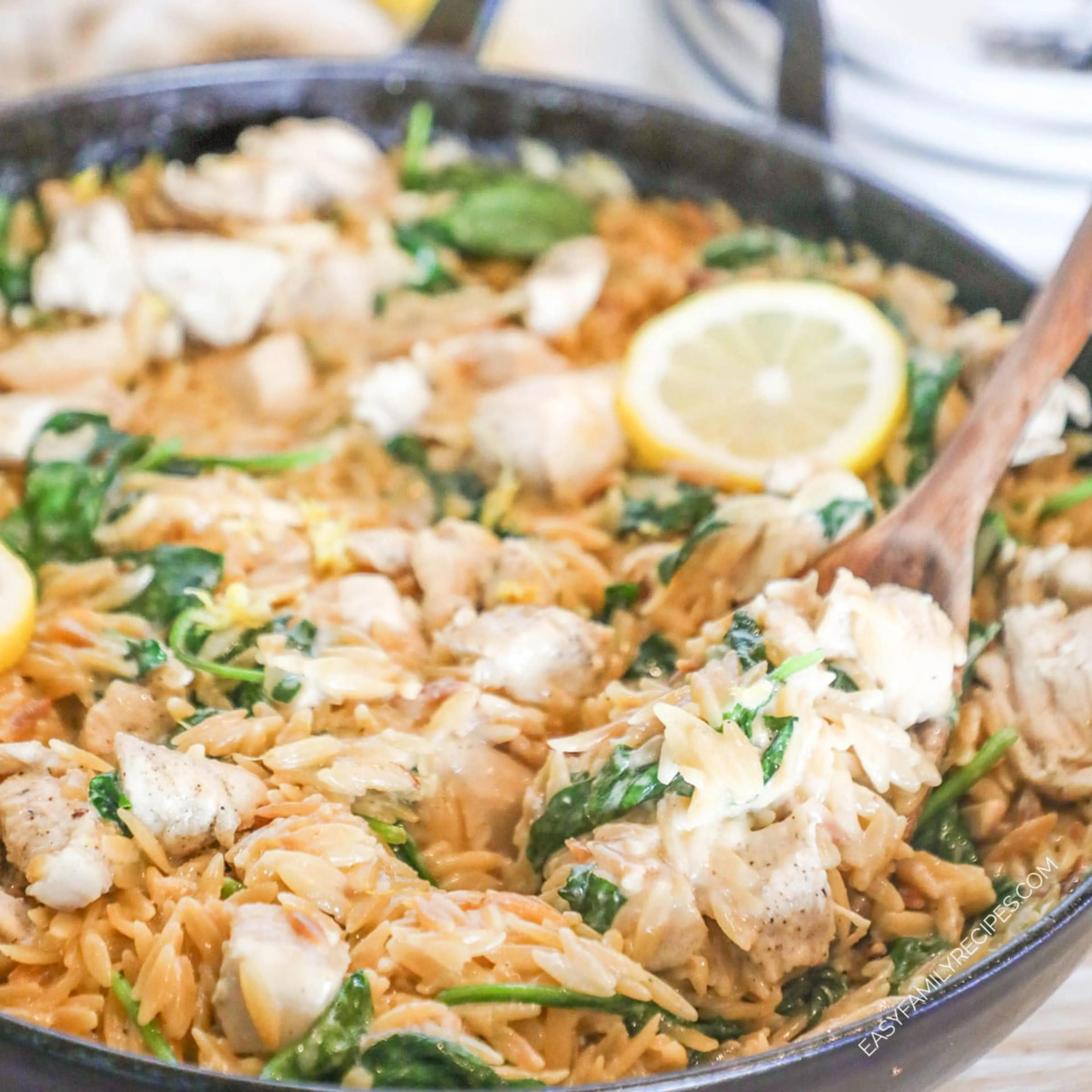 Creamy Lemon Orzo with Chicken
