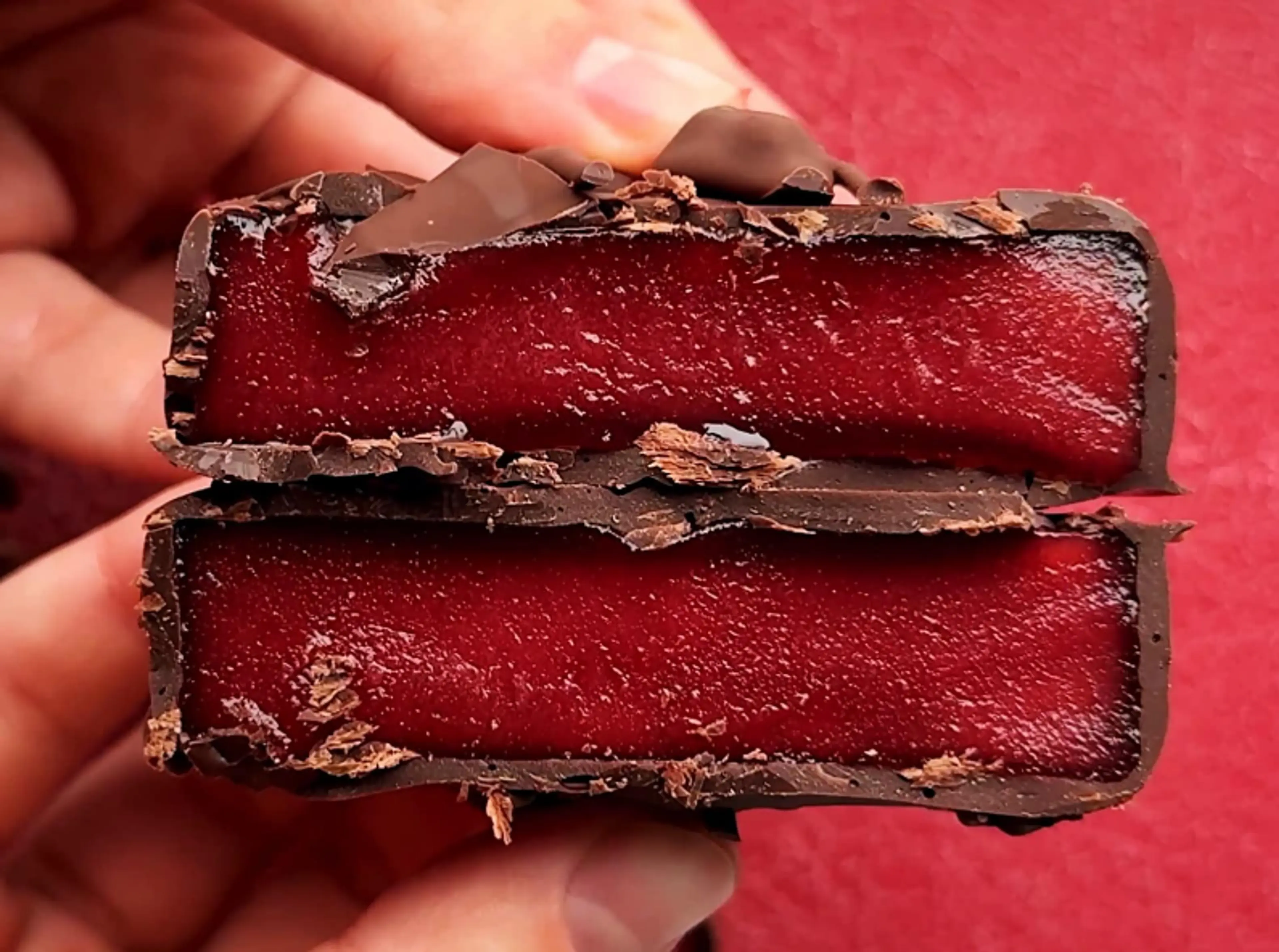 2-Ingredient Cranberry Chocolate Bites - Carolina Gelen