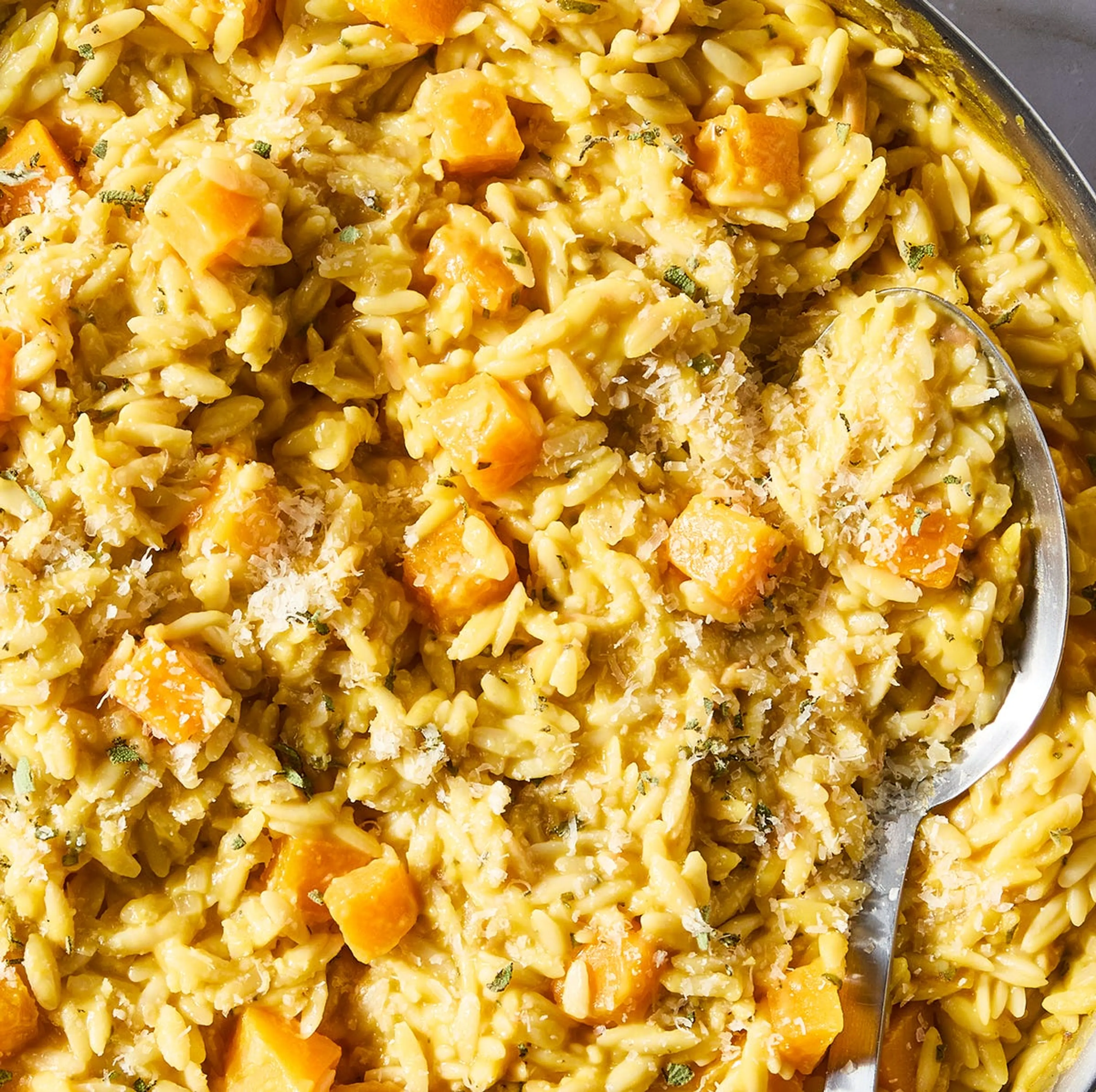 Creamy Butternut Squash Orzo