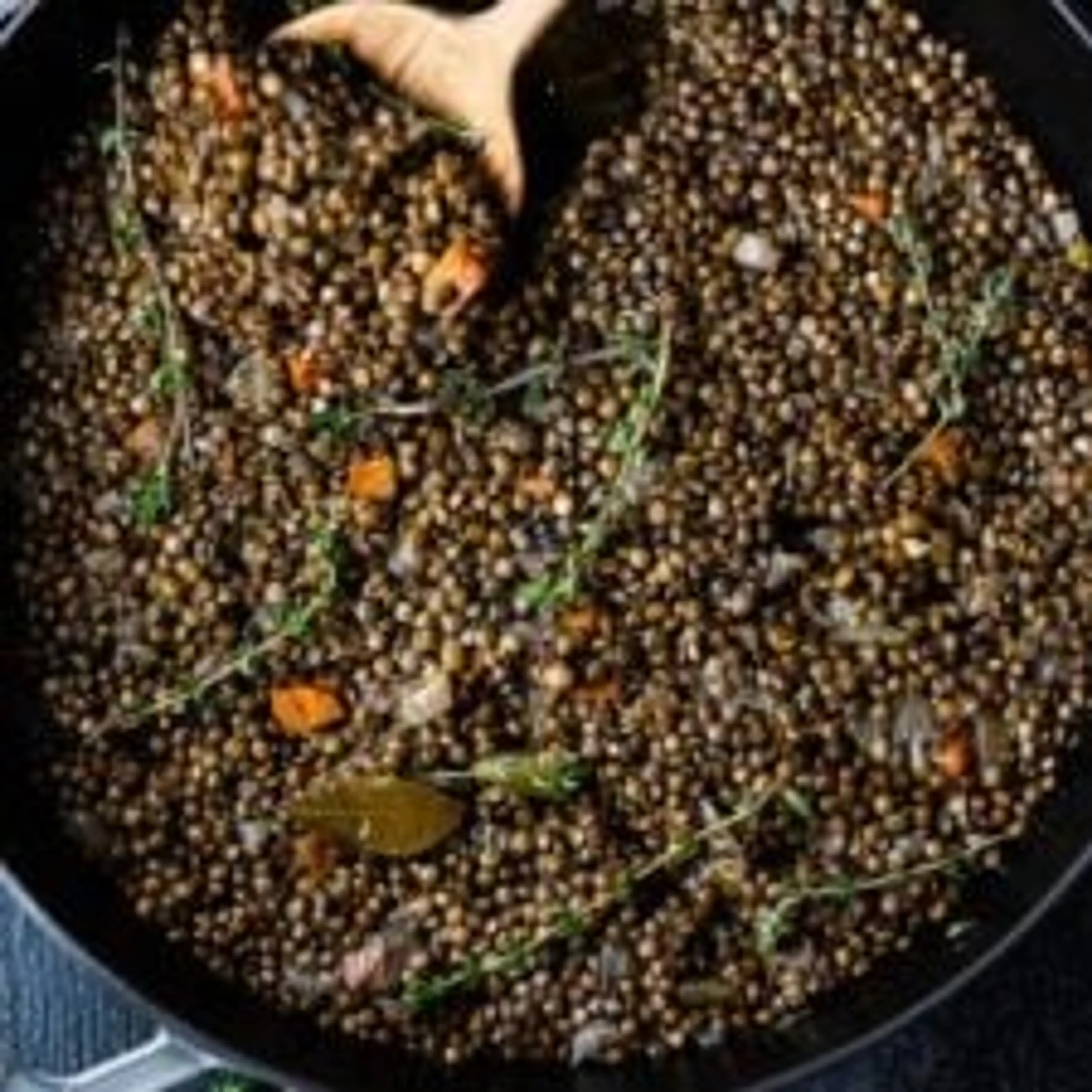Simple Braised French Lentils