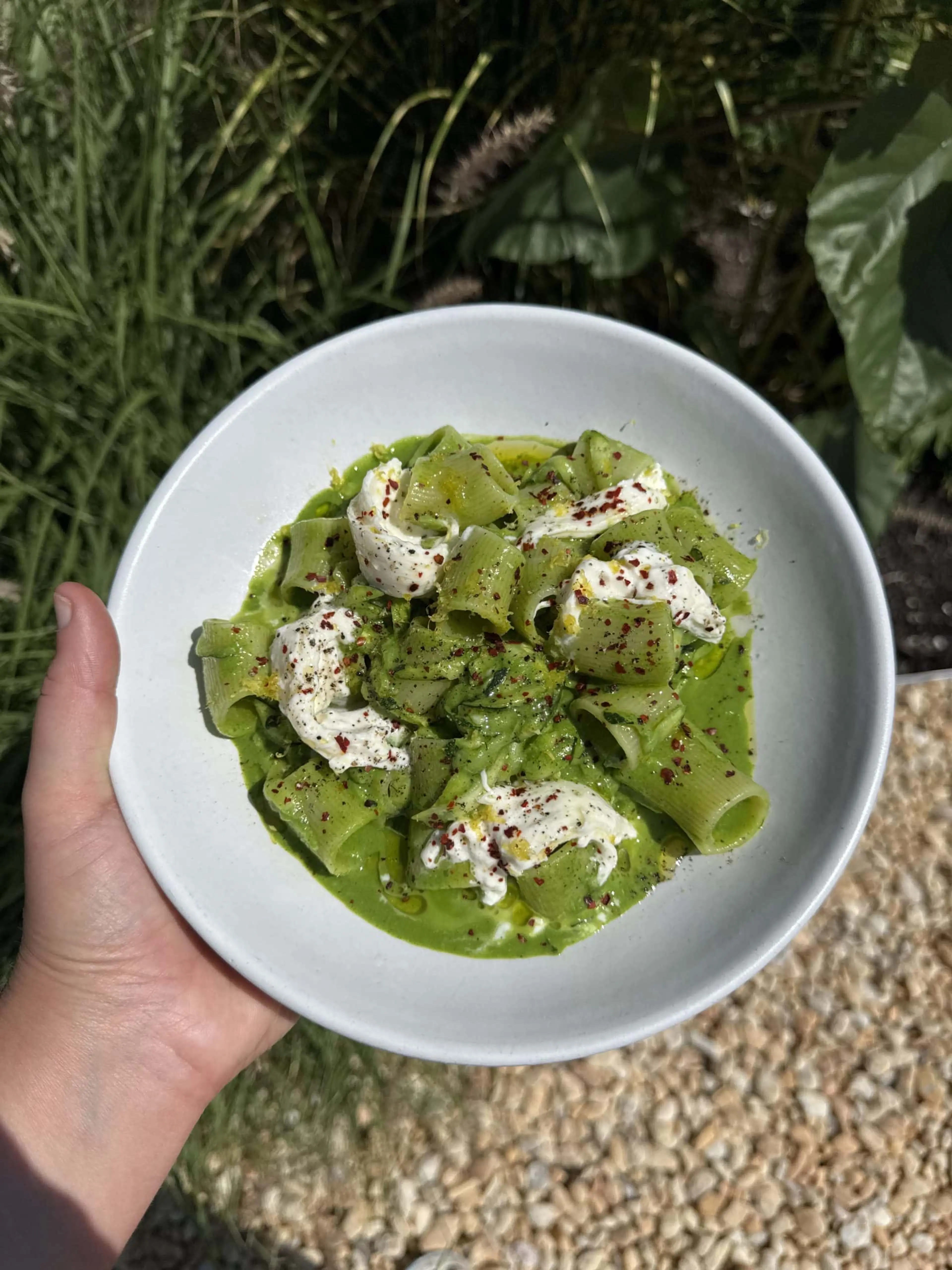 Grated Zucchini Pesto Rigatoni
