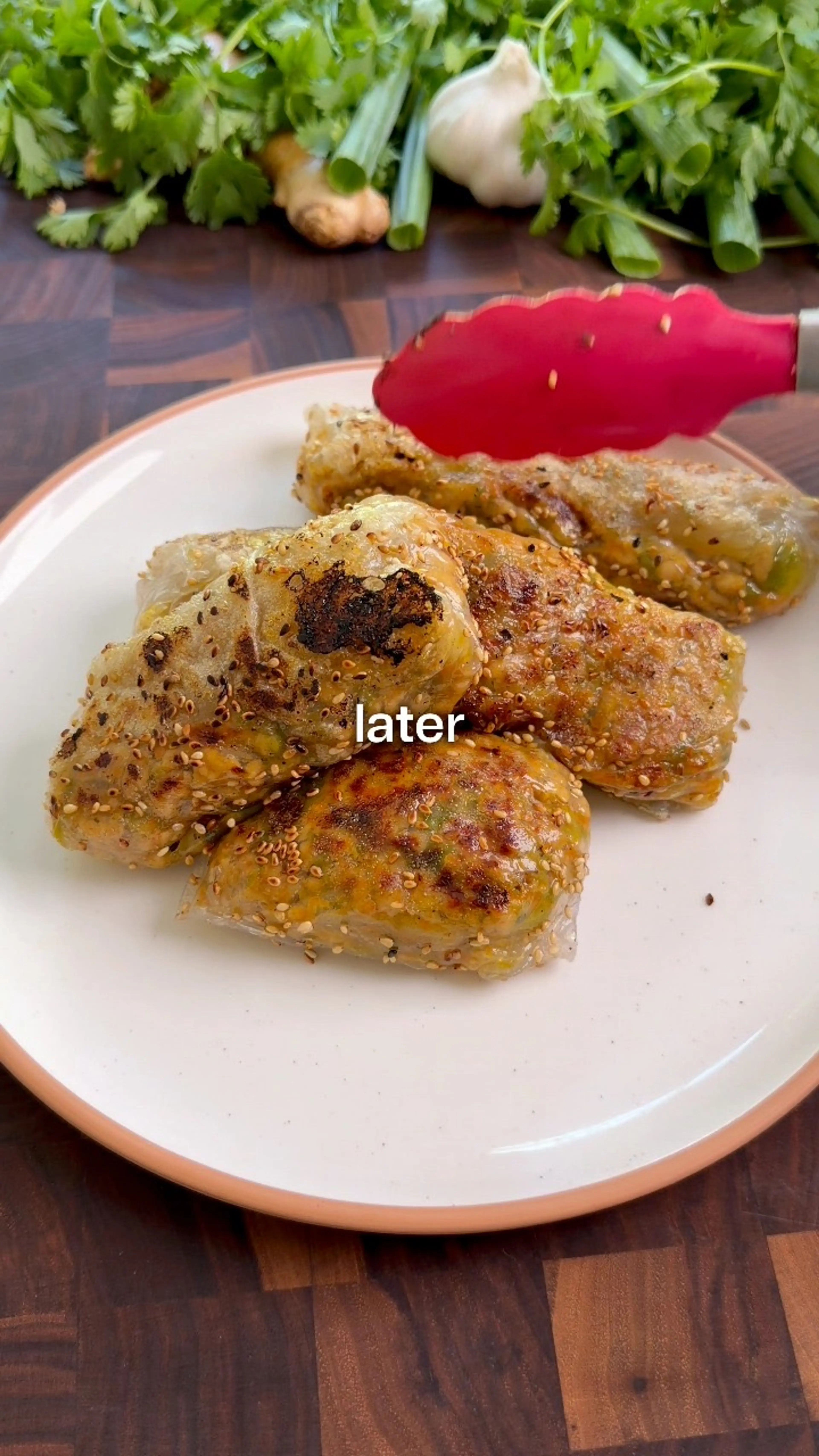 Crispy High-protein Chicken Rice Paper Dumplings