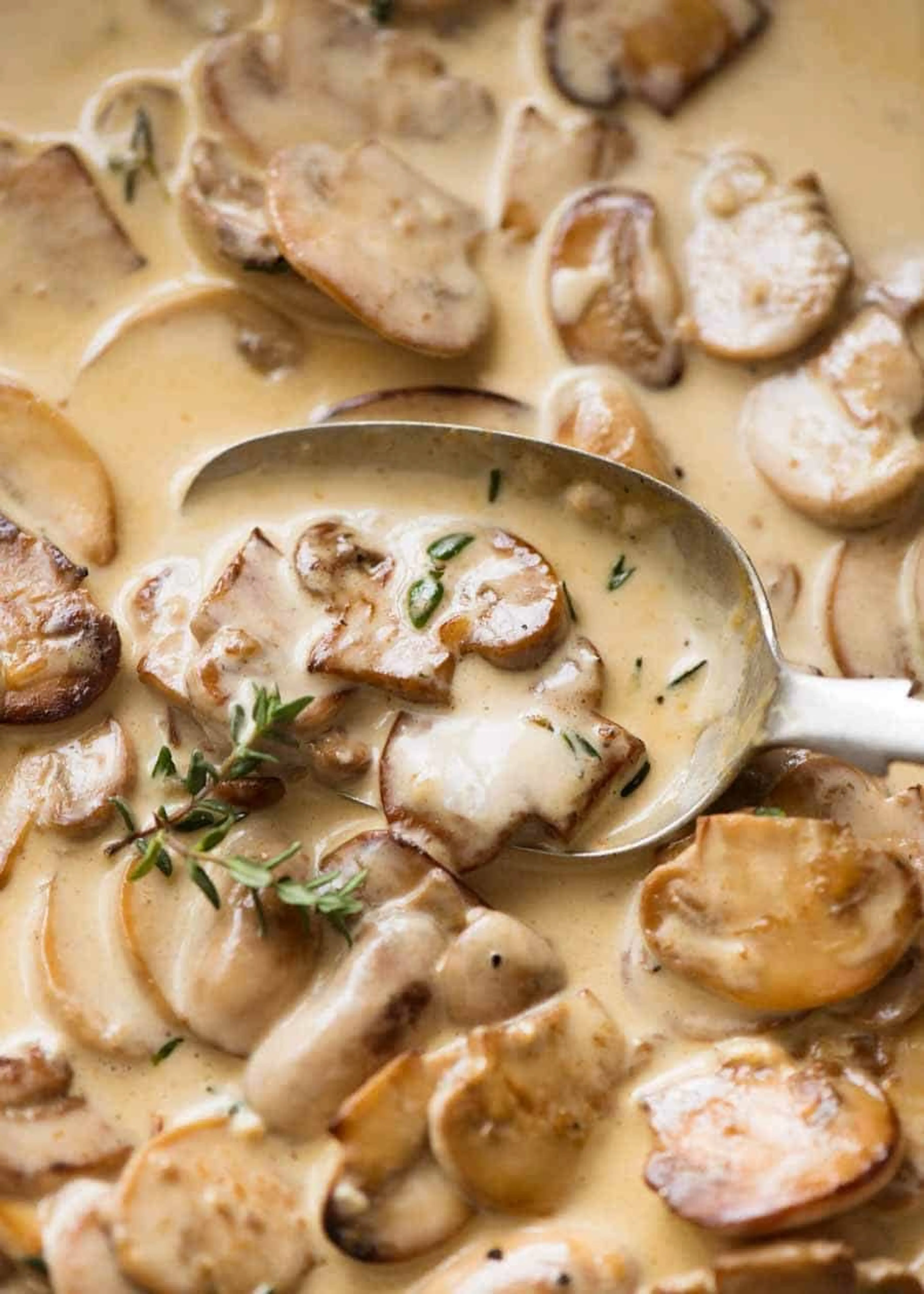 Mushroom Sauce
