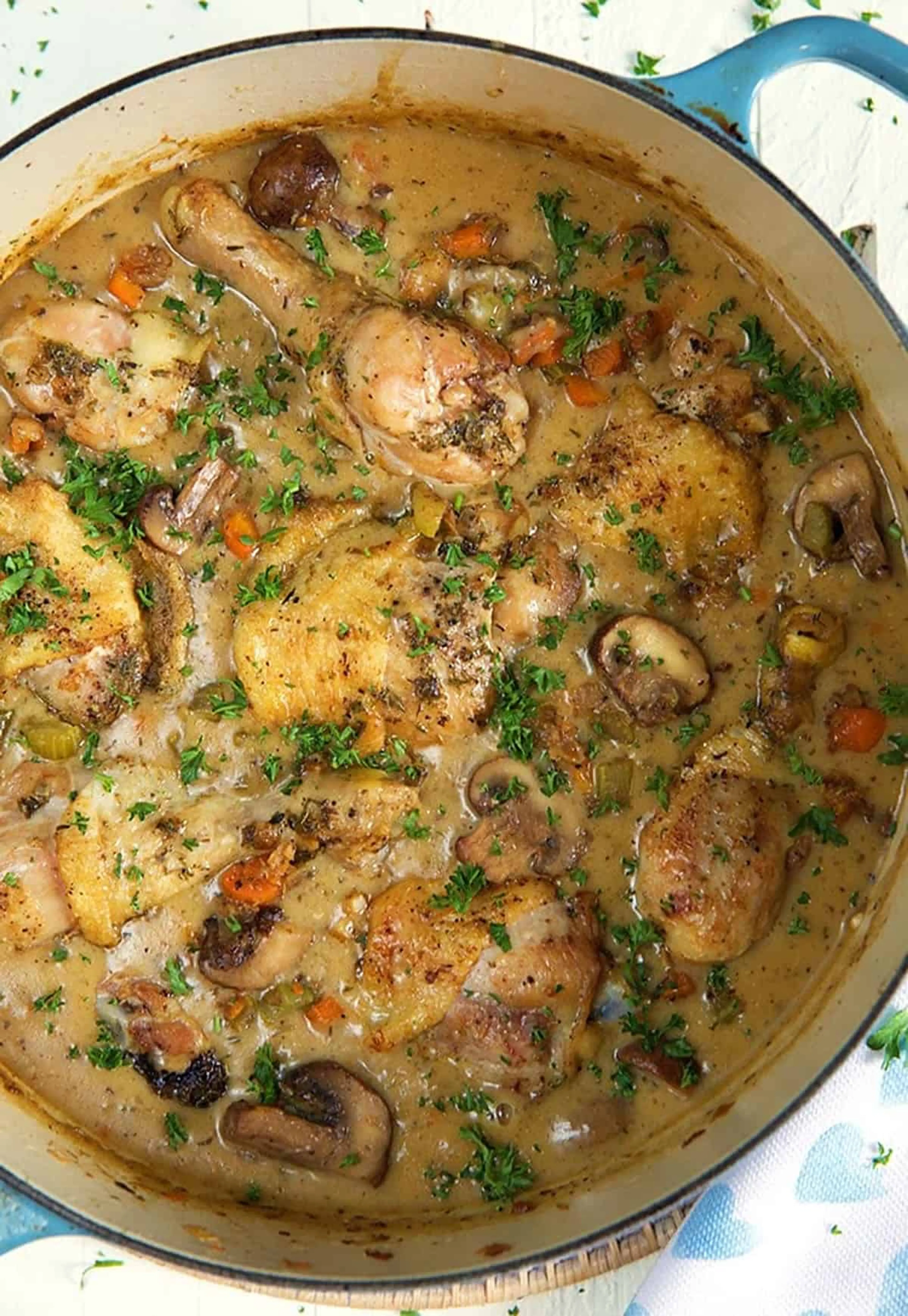 Chicken Fricassee Recipe