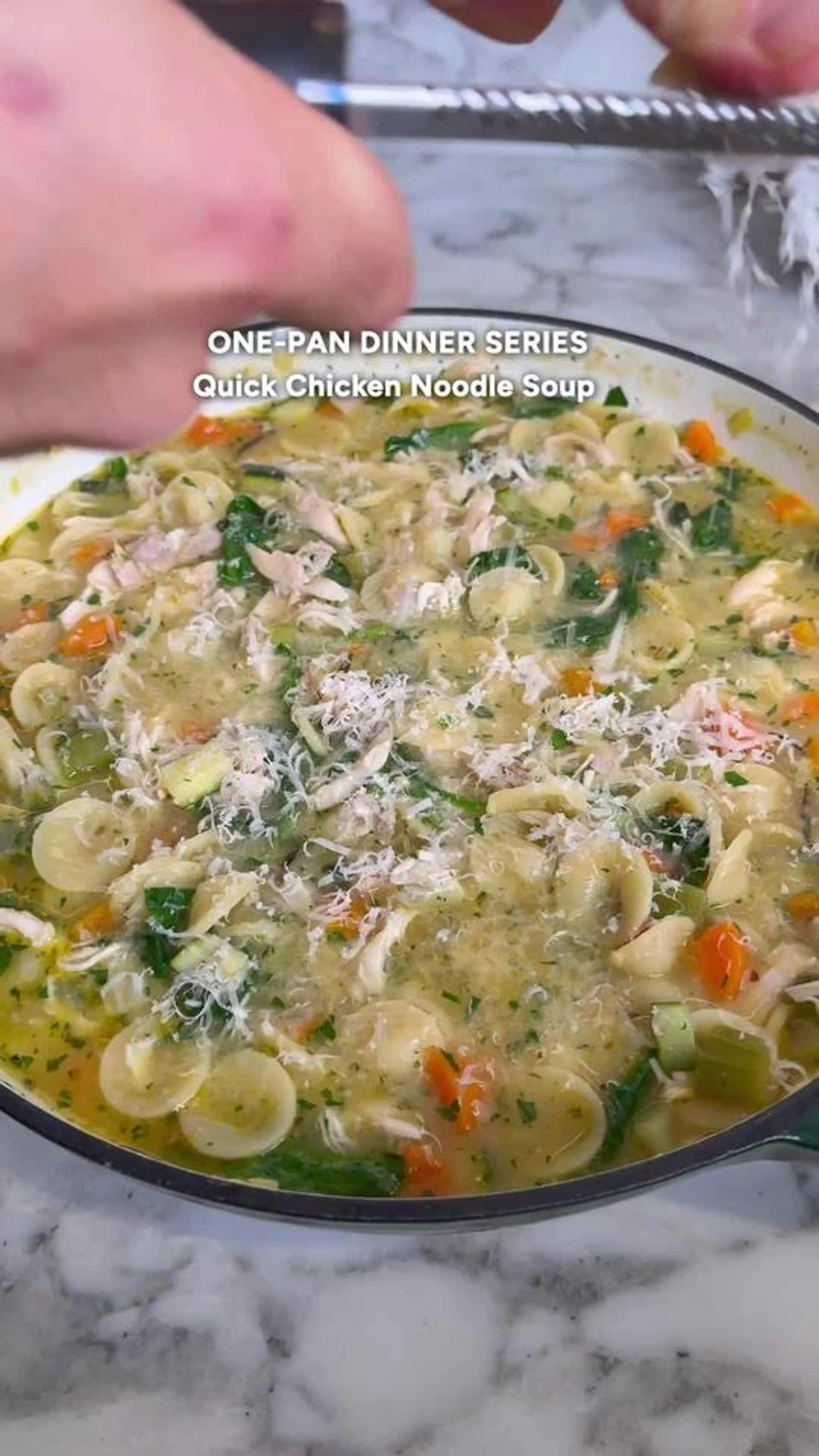 Quick Chicken & Veggie Soup