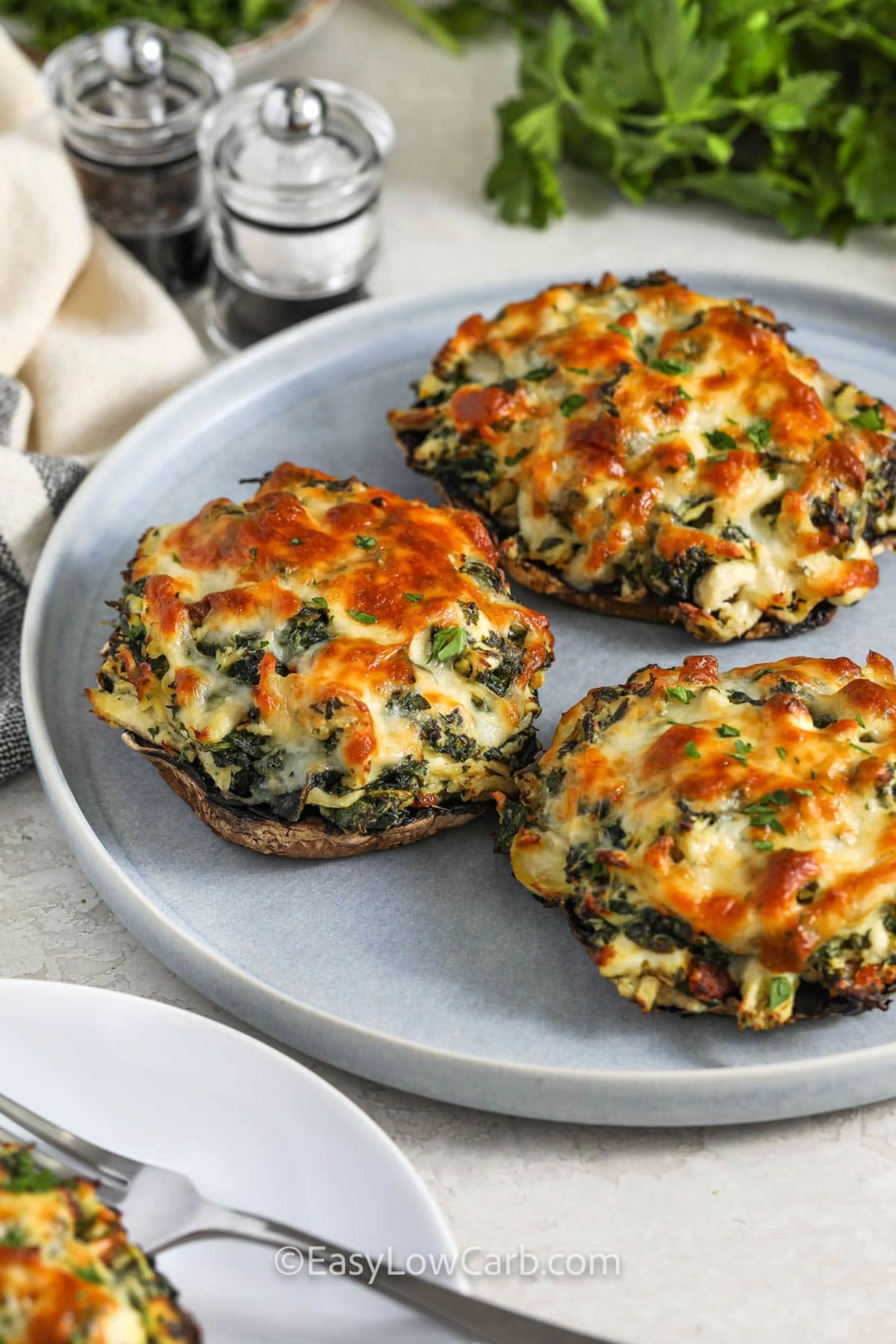 Stuffed Portobello Mushroom Recipe