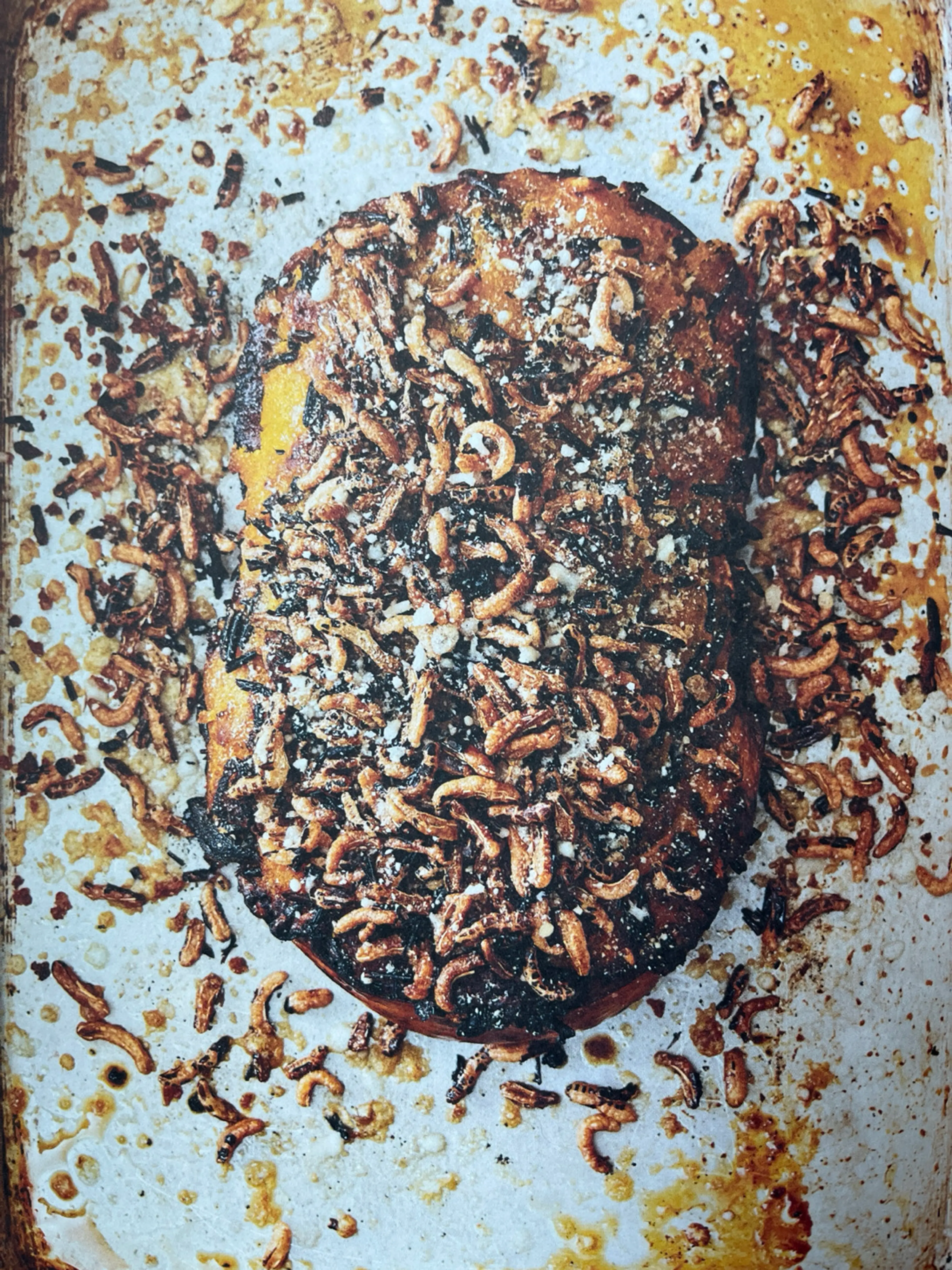 Butternut Squash with Hazelnuts, Fontina, and Sausage