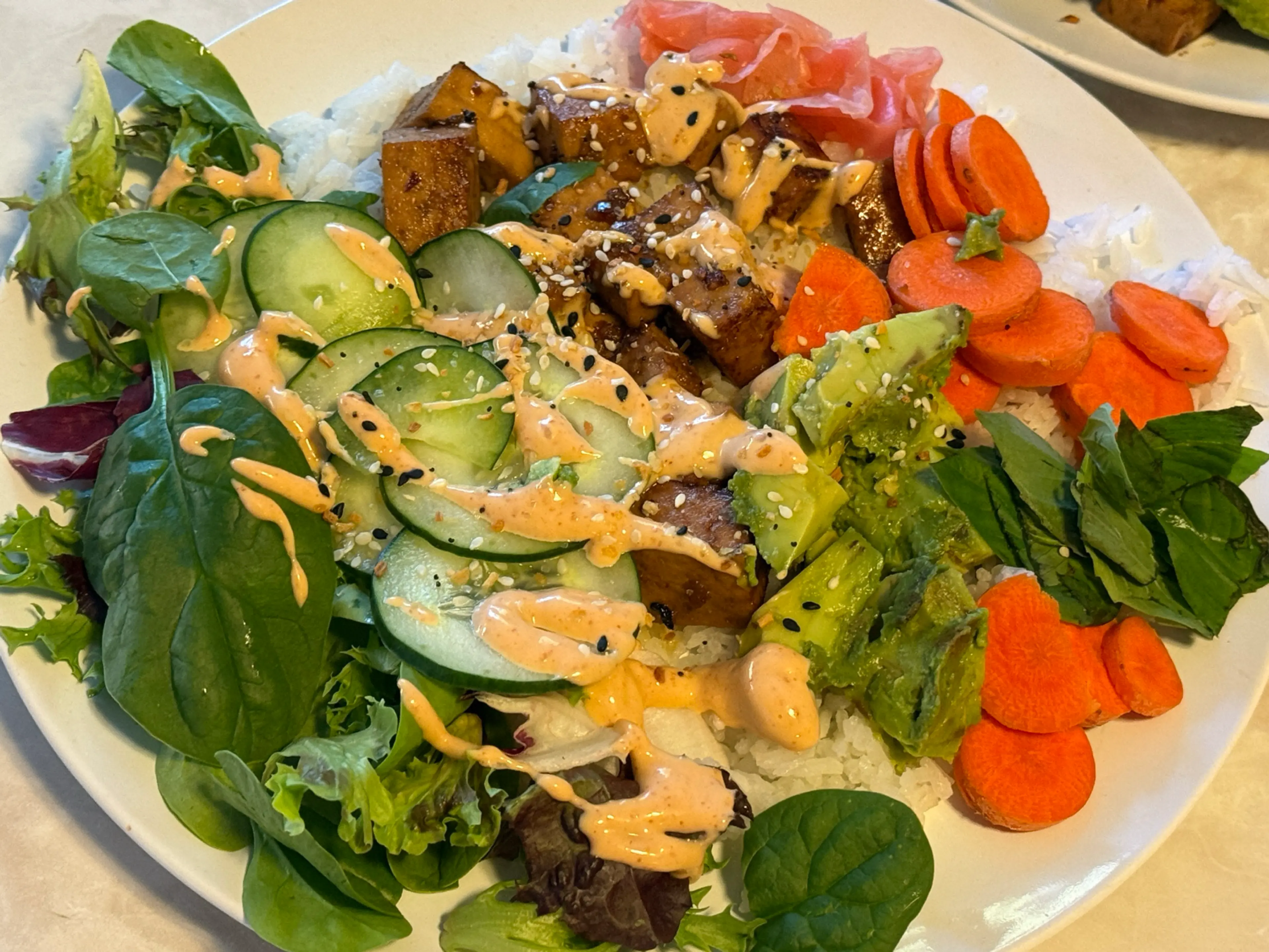 Dynamite Plant Sushi Bowl