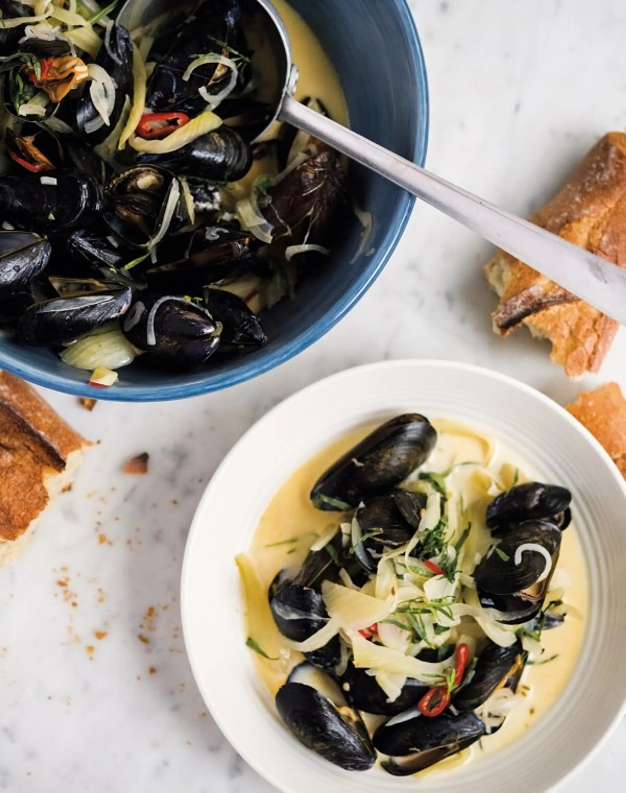 Mussels with Fennel, Crème Fraîche and Vermouth