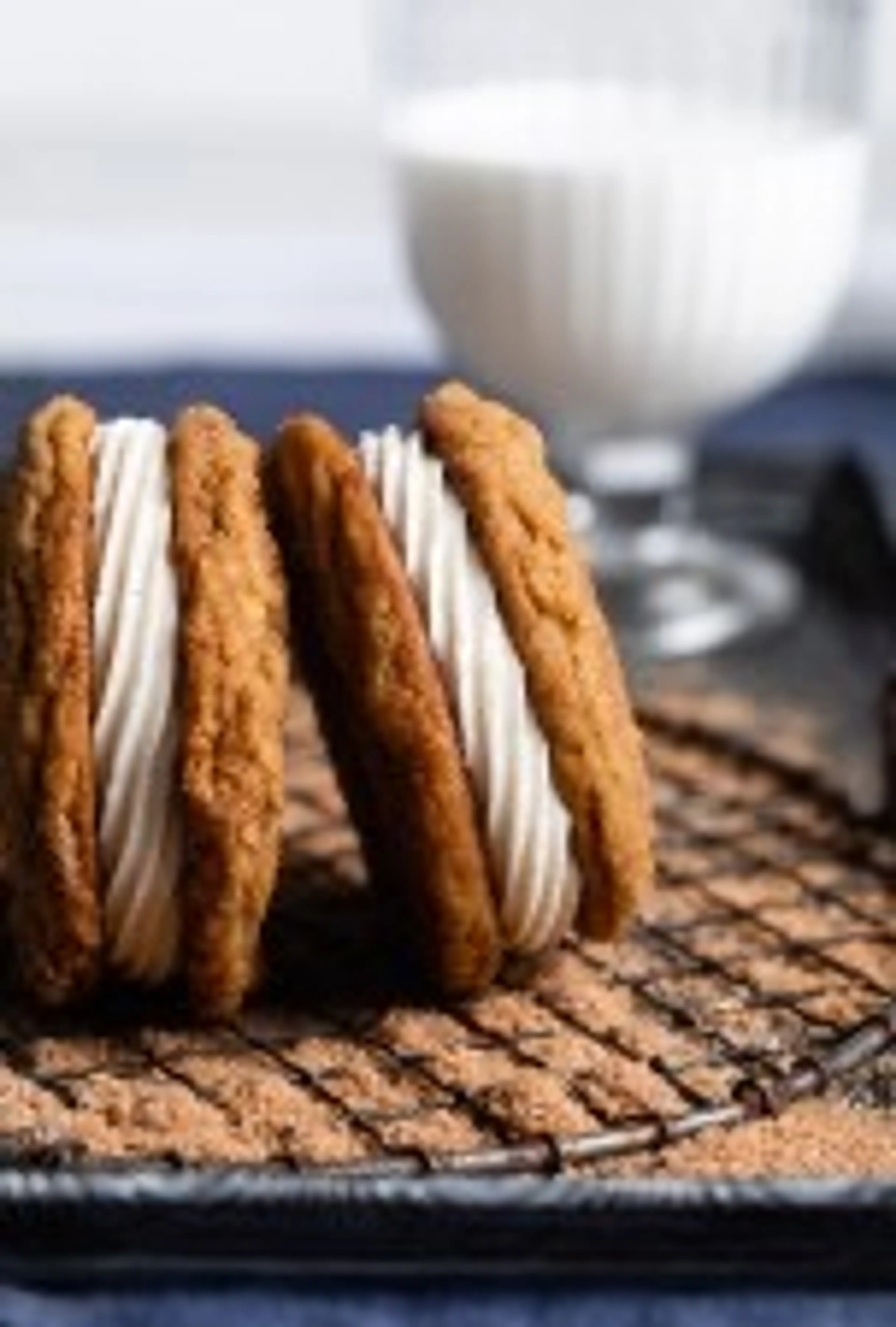 Pumpkin Spice Sugar Cookies Recipe