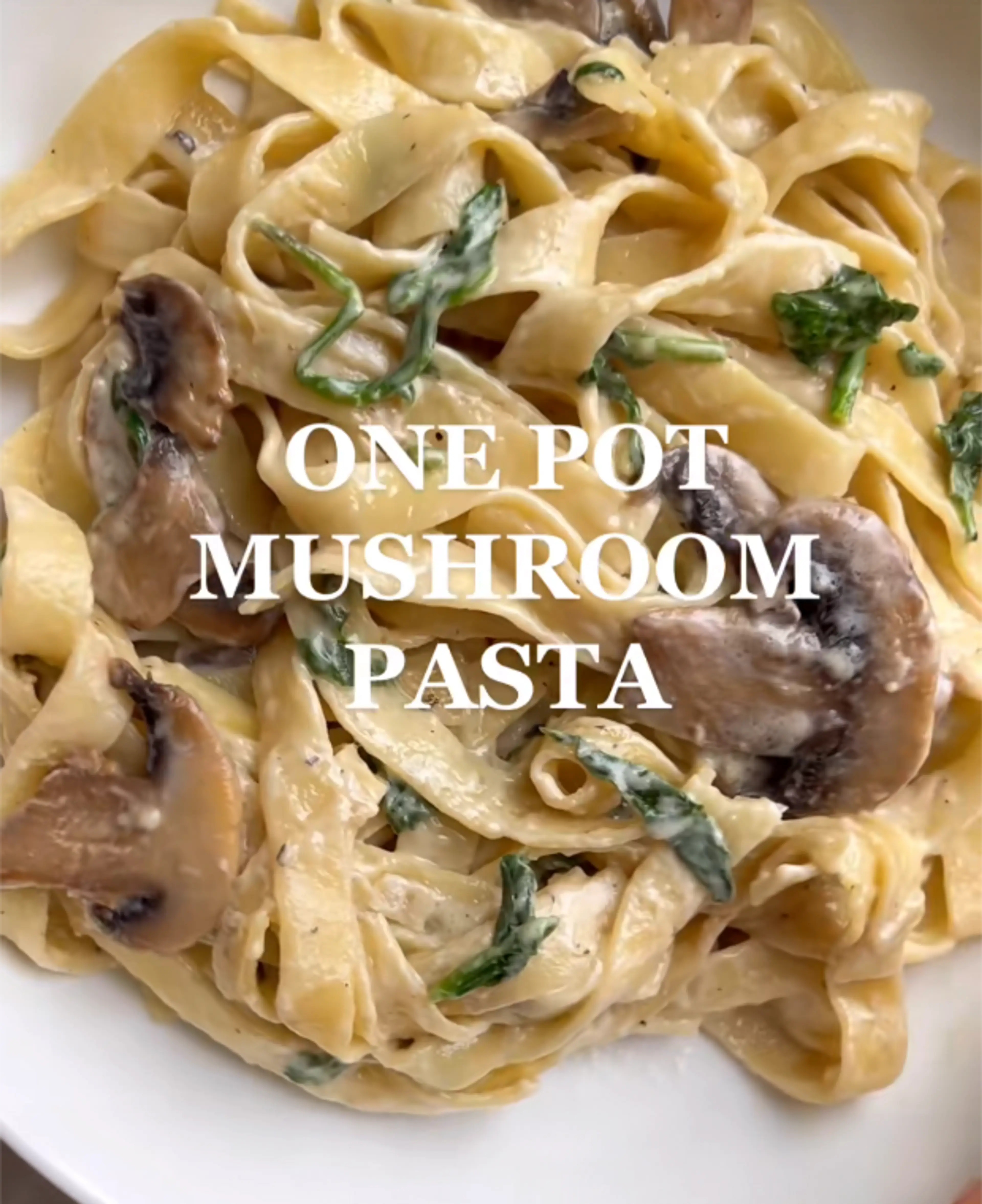 One Pot Creamy Mushroom Pasta