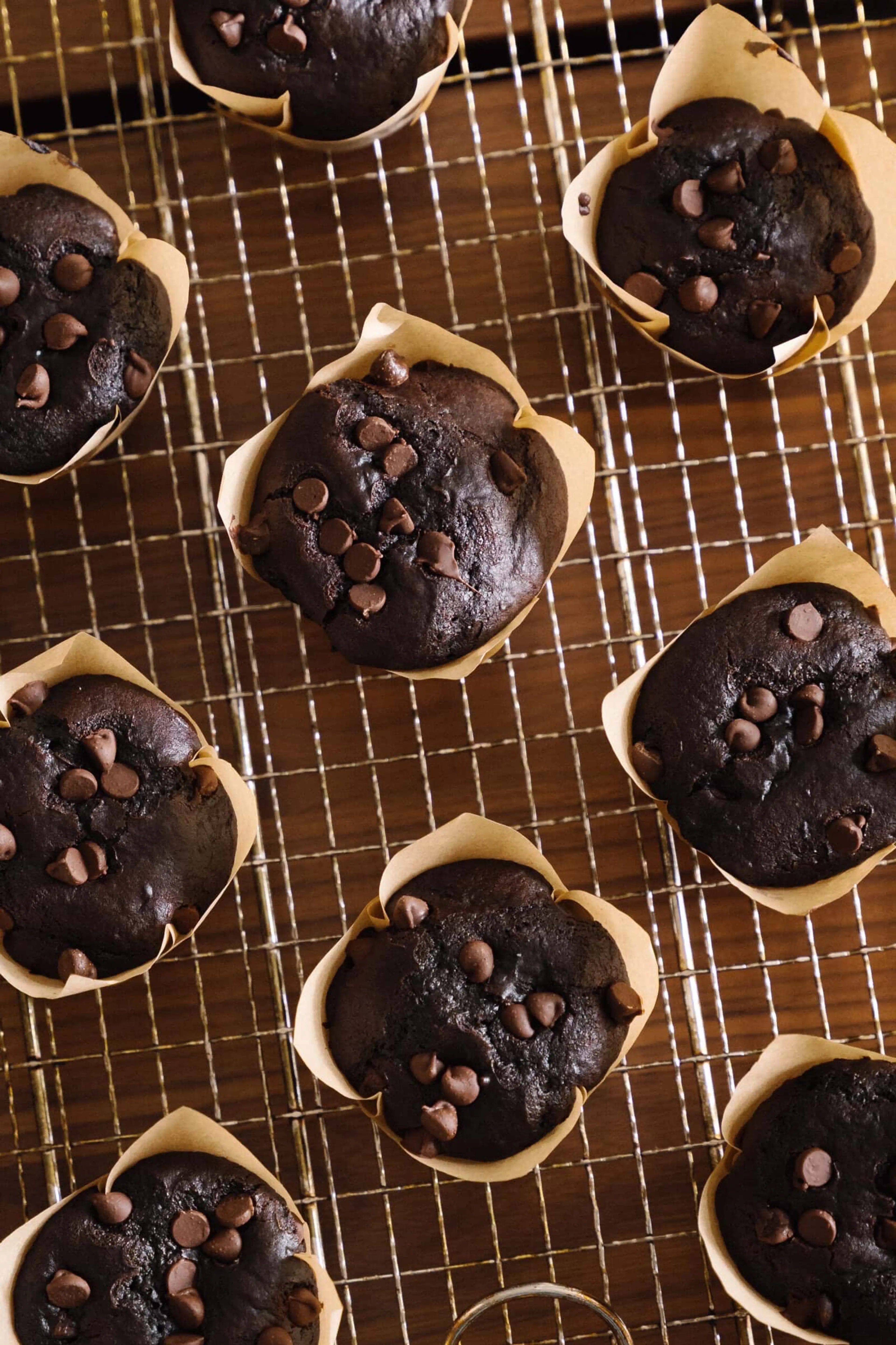 Chocolate Muffins