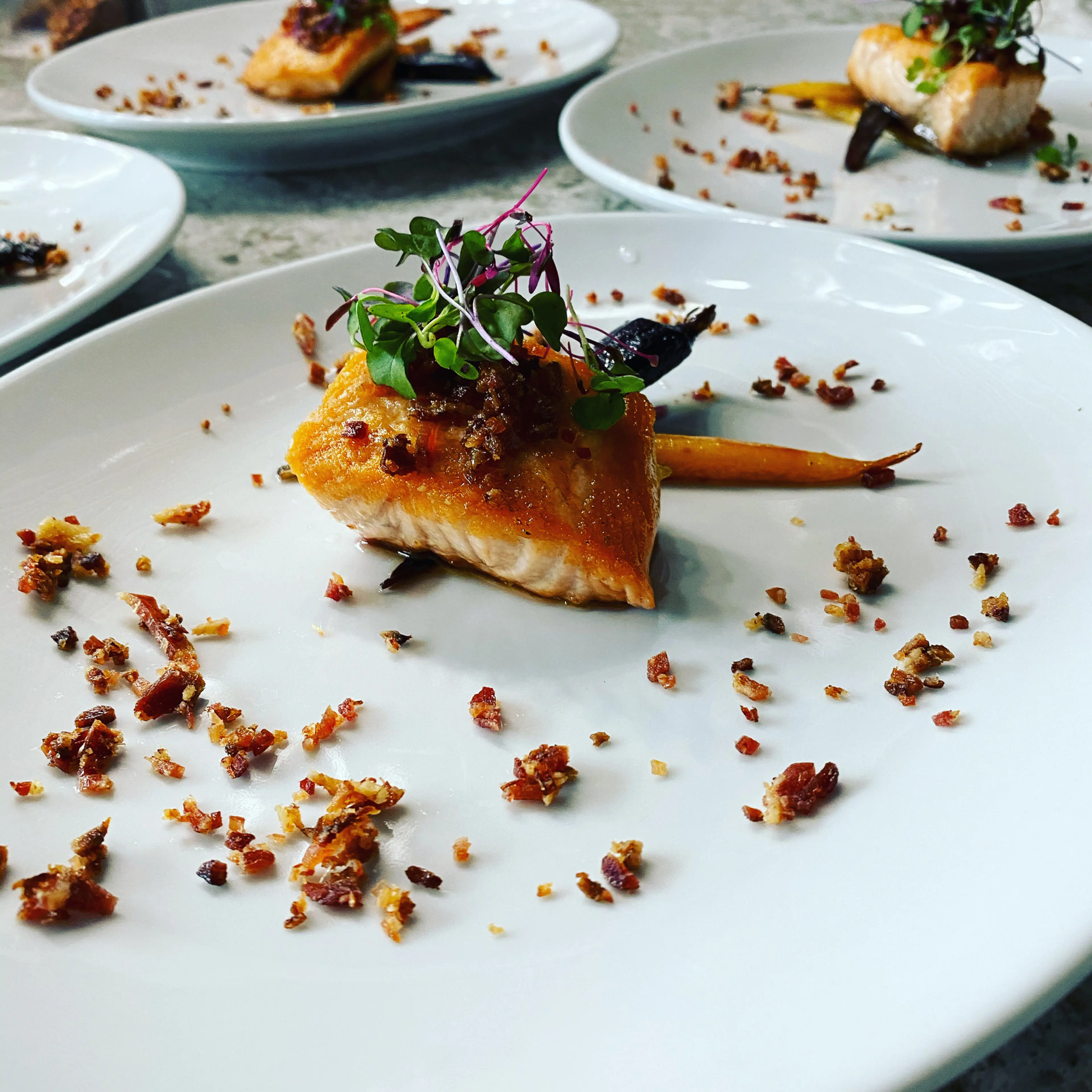 Yukon Salmon