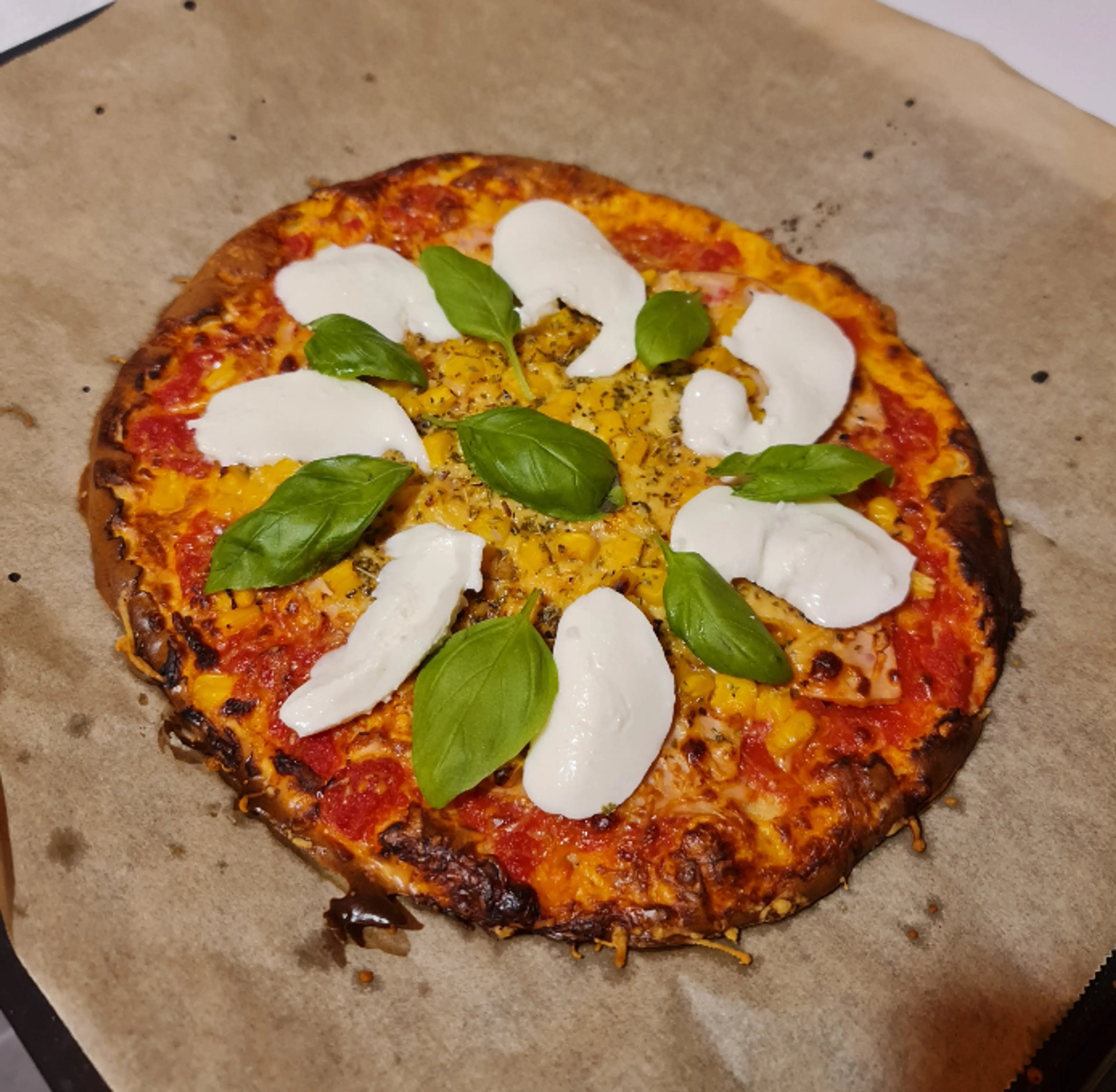 Proteinska Pica